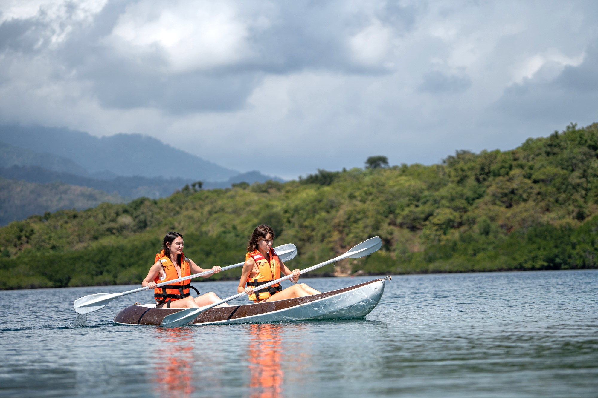 アクティビティ