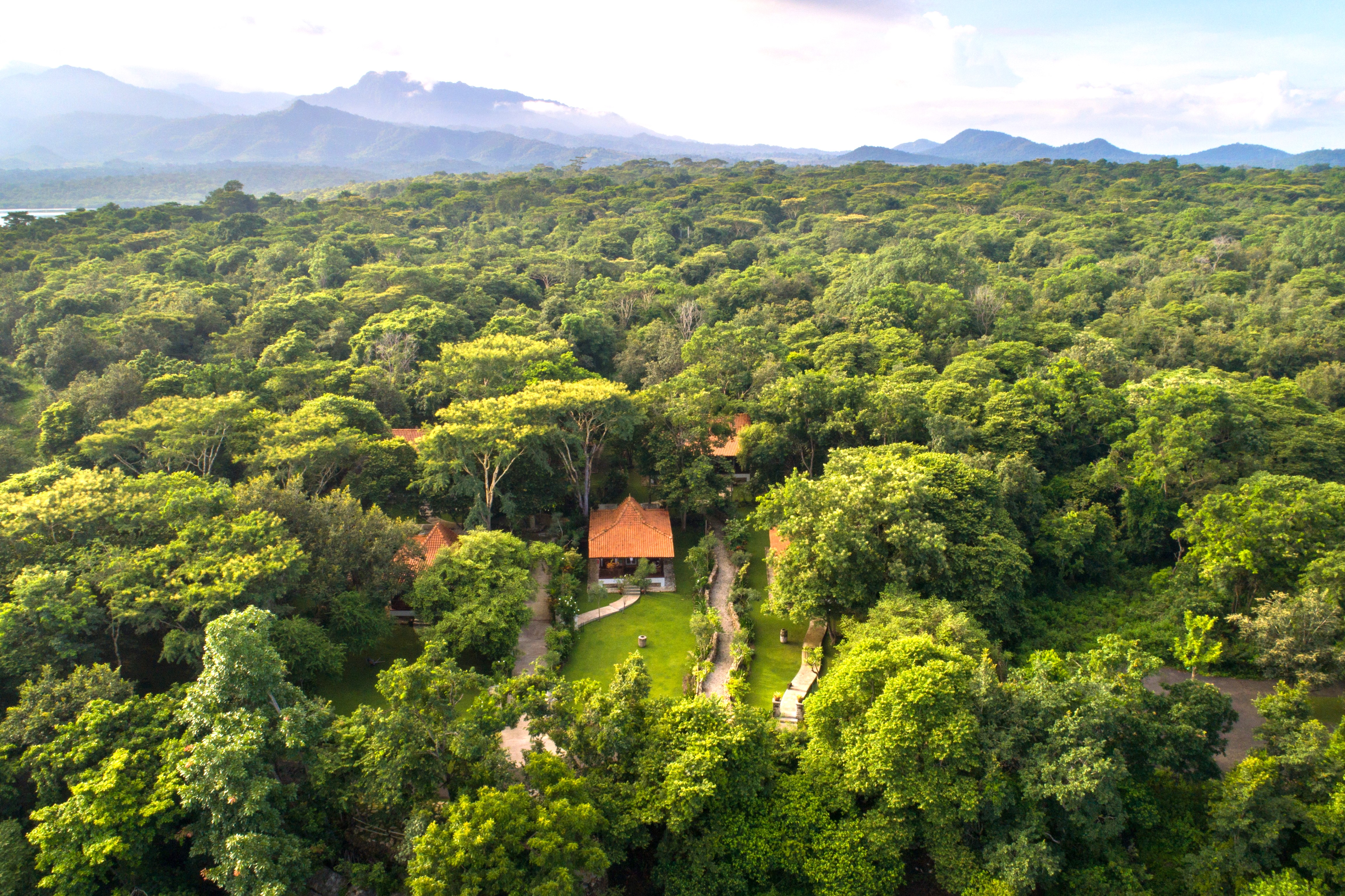 1ベッドルーム　フォレスト　ヴィラ　－例