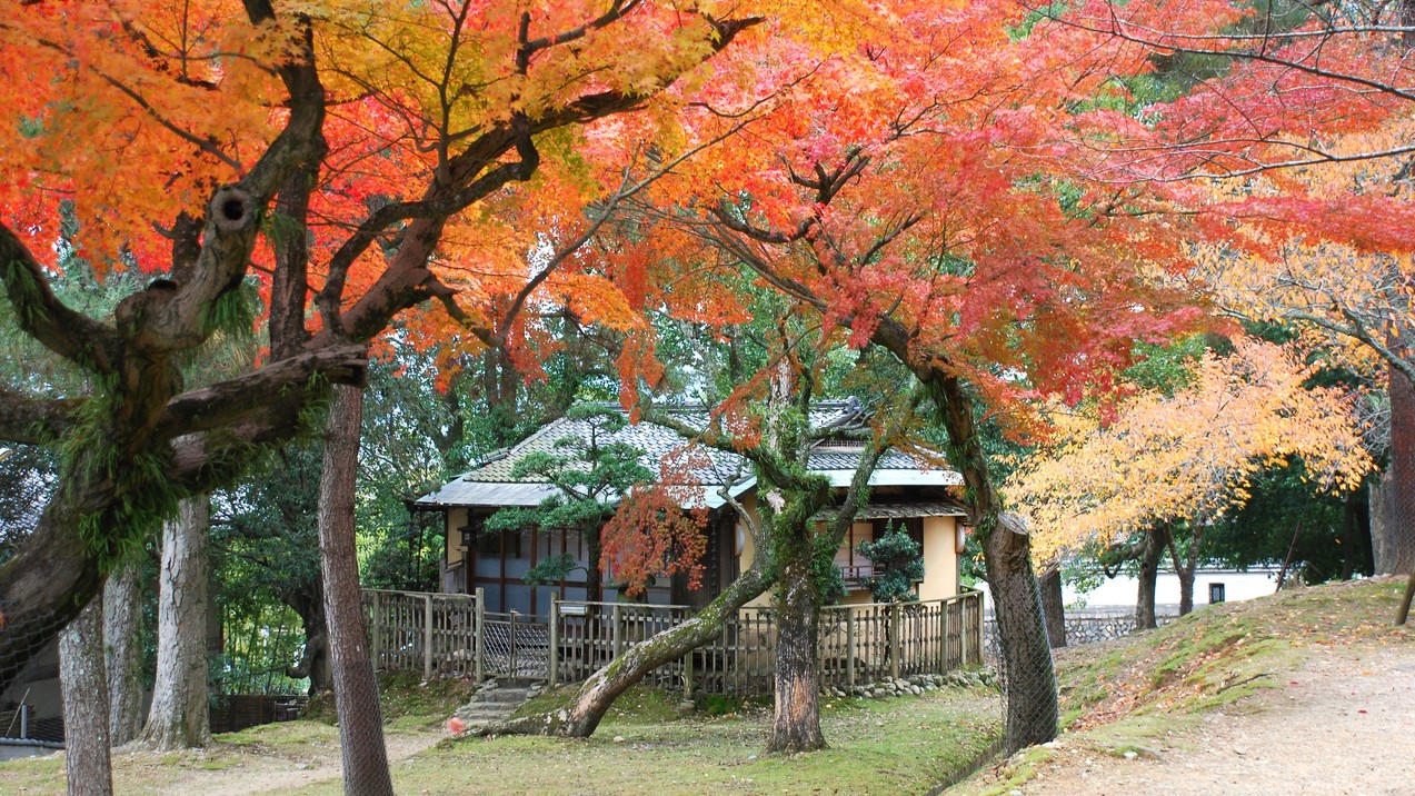 【部屋食】一歩出れば奈良公園　「若草鍋」を味わう宿泊プラン（１０月〜３月）