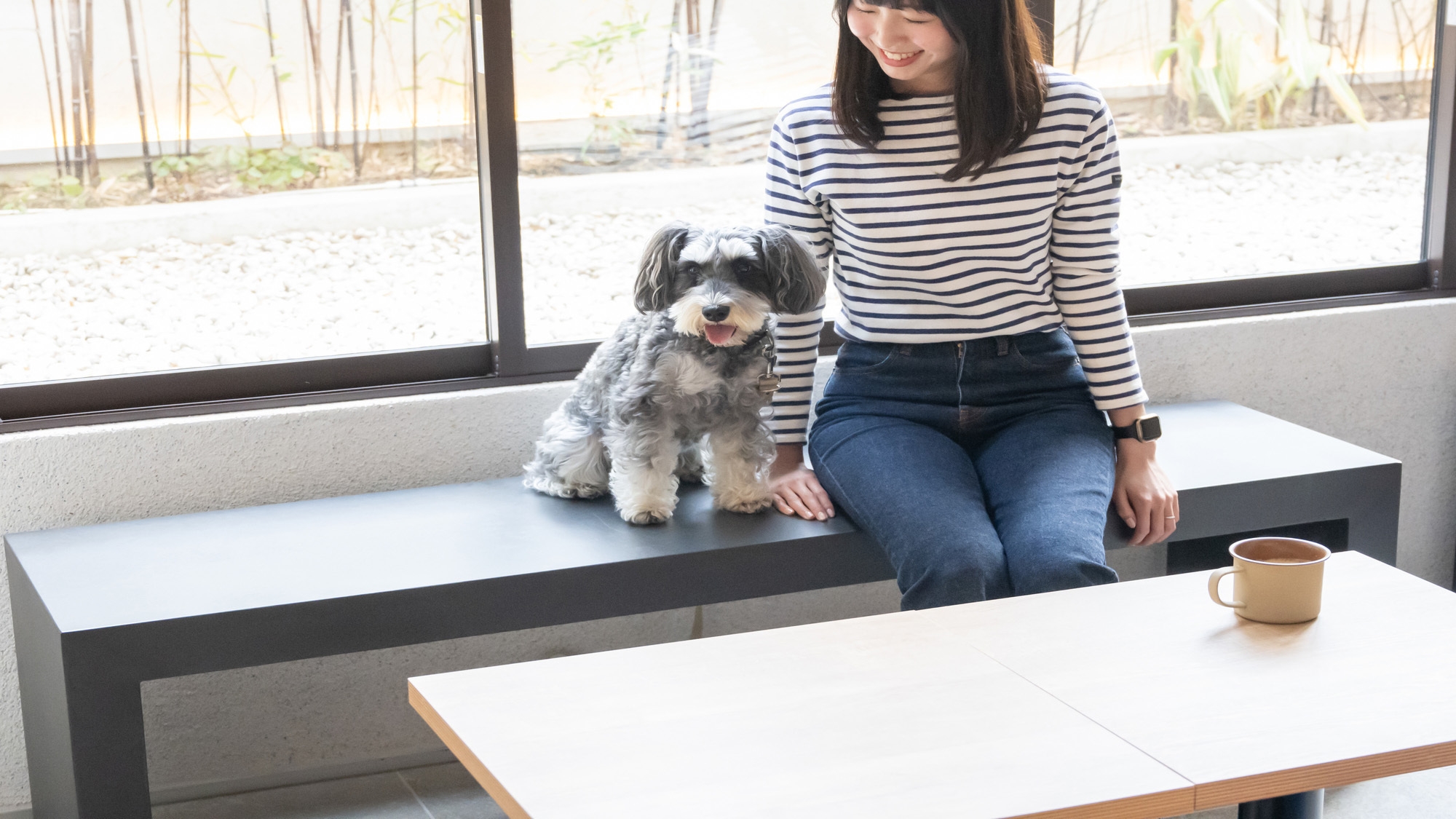 【 またきてな関西旅 】 ポイント10倍　どんどん貯めて愛犬とお得に宿泊♪ 《 素泊り 》