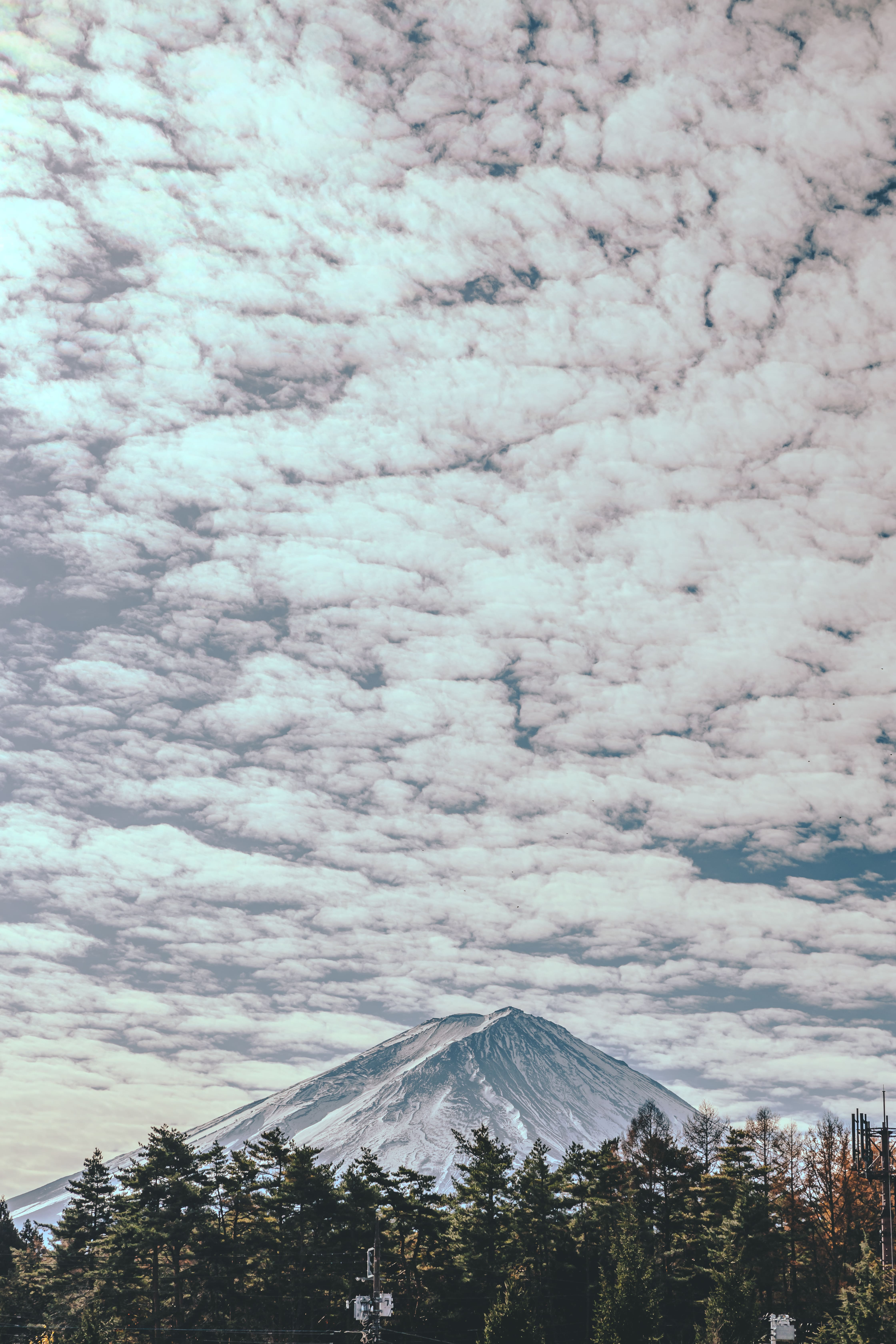 日々変わる富士山の景色を楽しむ