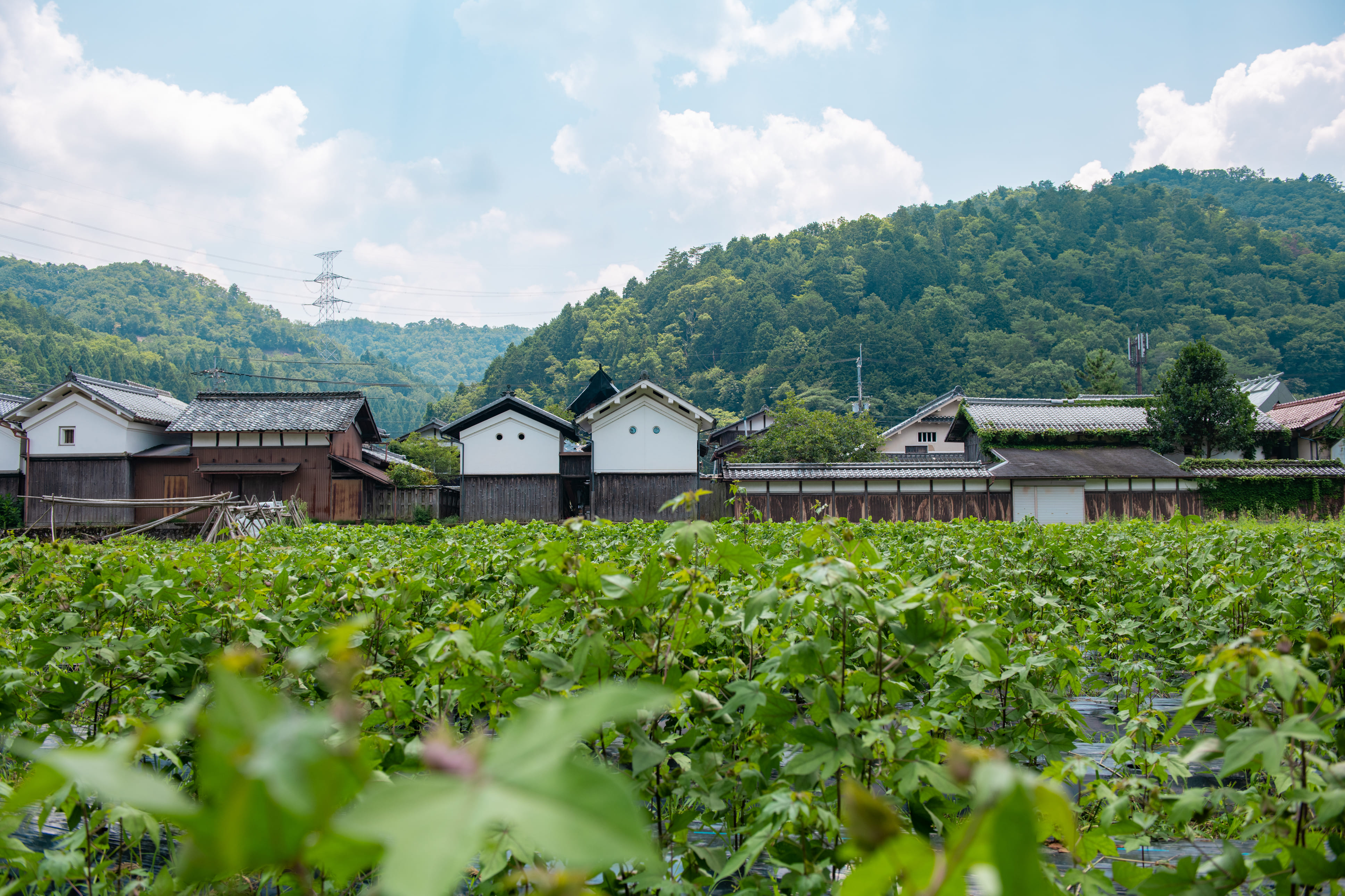 福住伝統的建造物群保存地区