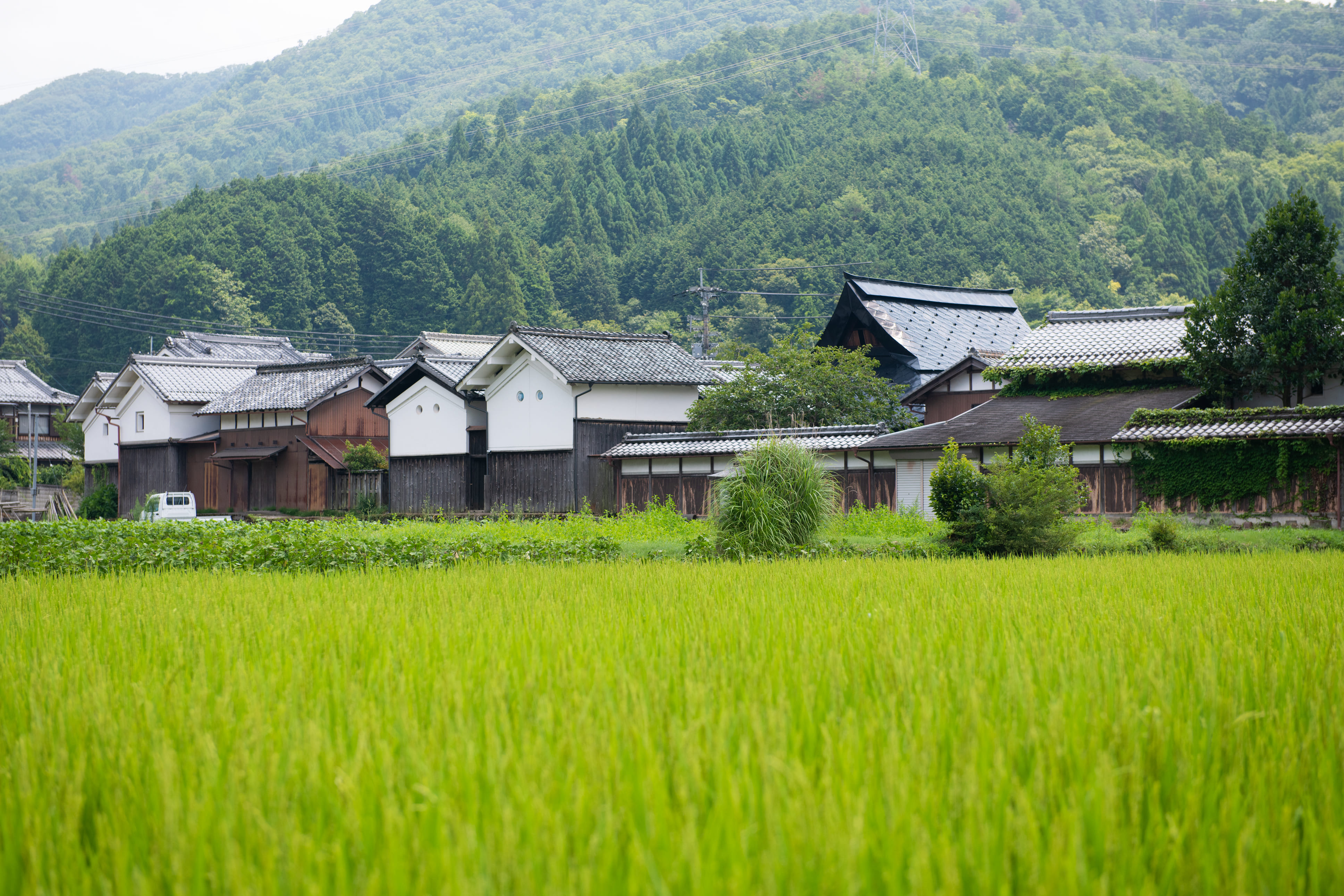 福住伝統的建造物群保存地区