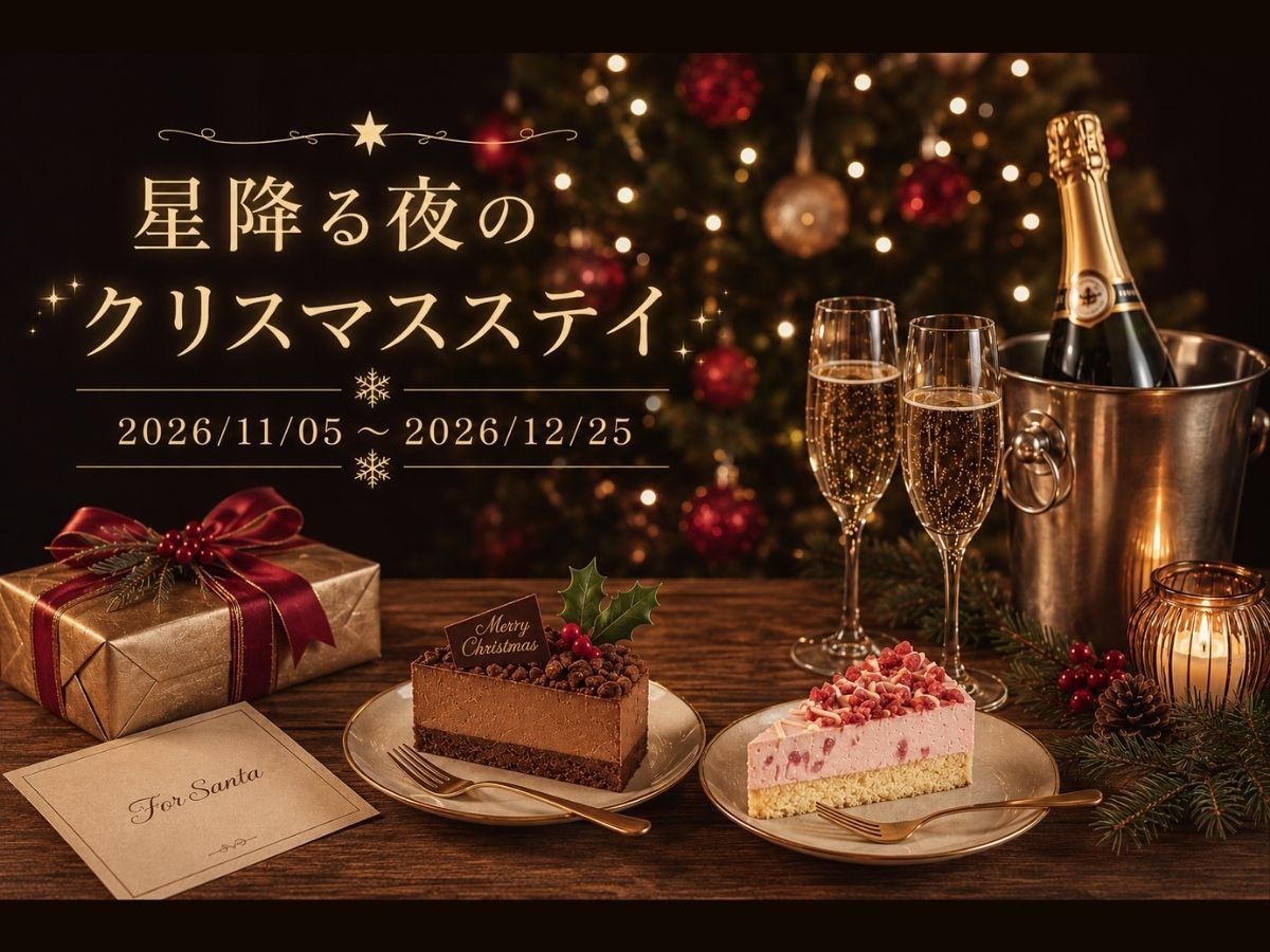 【冬季限定・素泊まり】星降る森のクリスマス★食材持ち込みOK＆4つのお楽しみ付き