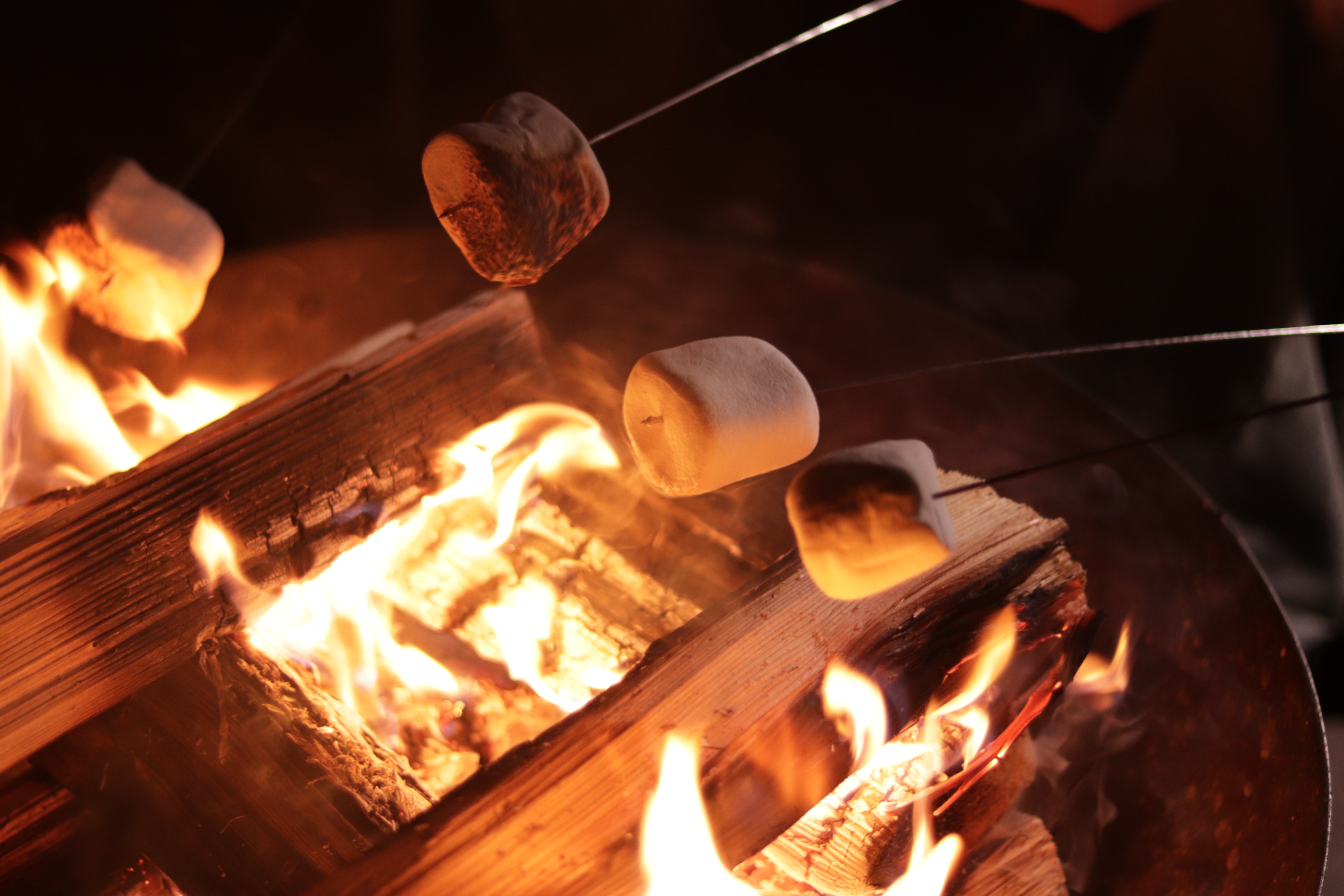 焚き火とマシュマロ