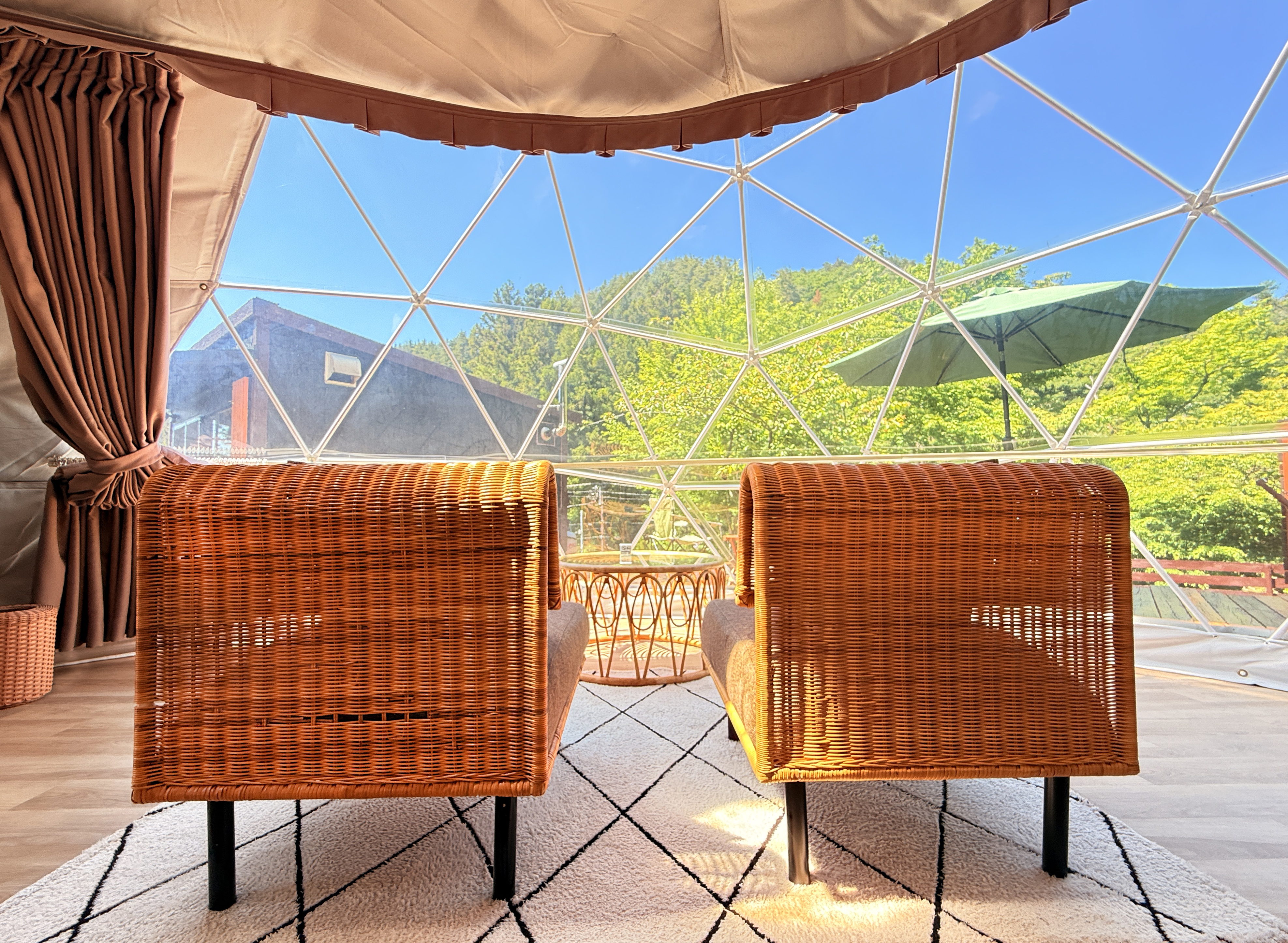 ドーム内イメージ