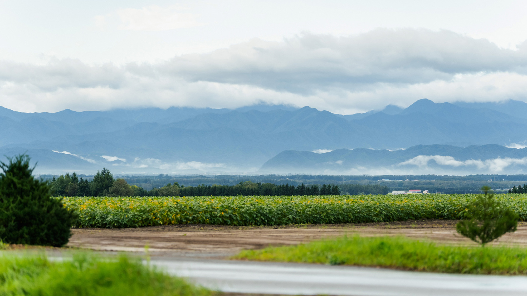 ・【周辺】北海道十勝ならではの眺め。畑と山々を望む原風景をお楽しみください