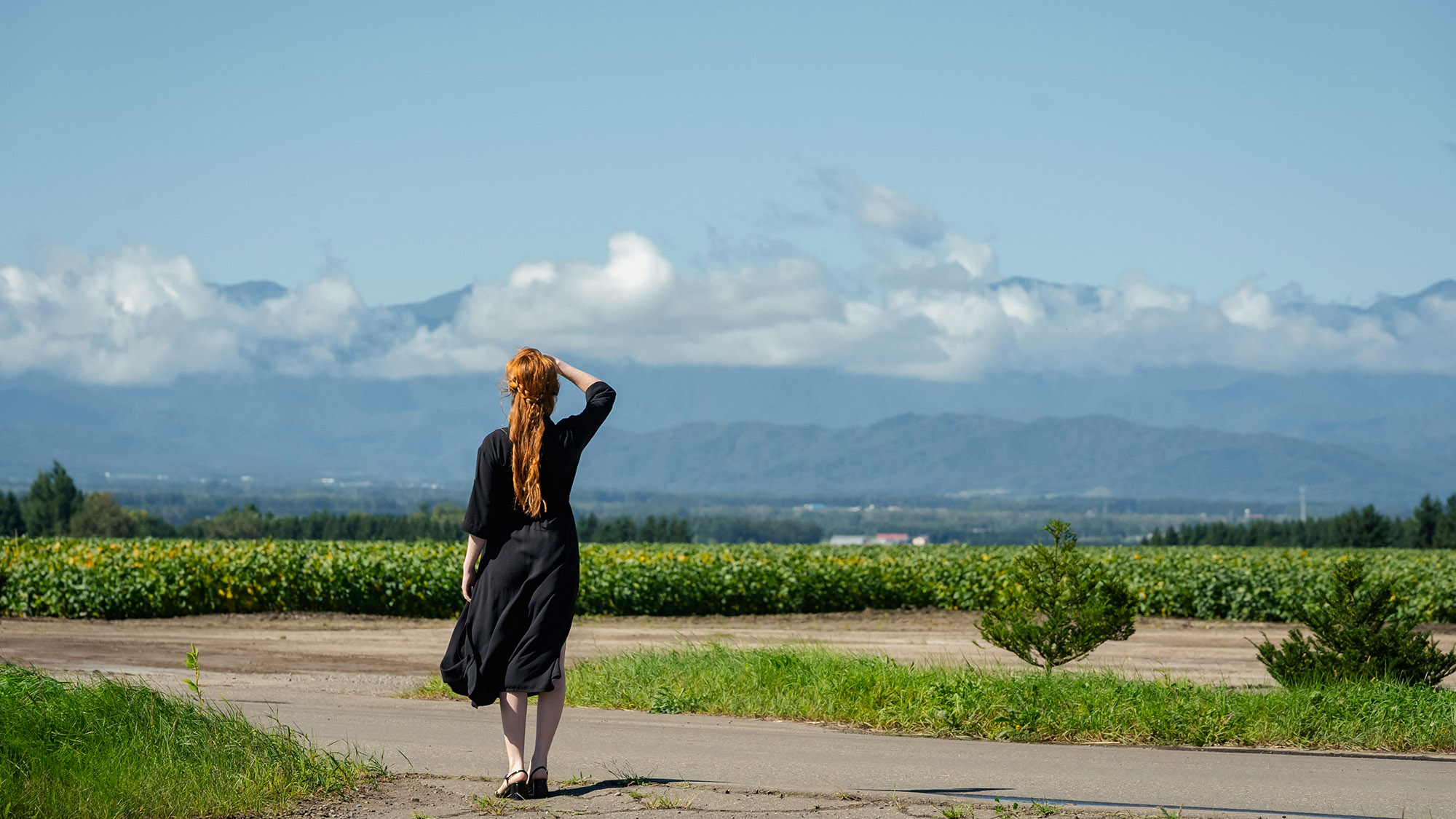 ・【周辺】十勝平野は自然の宝庫。自由に気ままにお散歩はいかがでしょうか