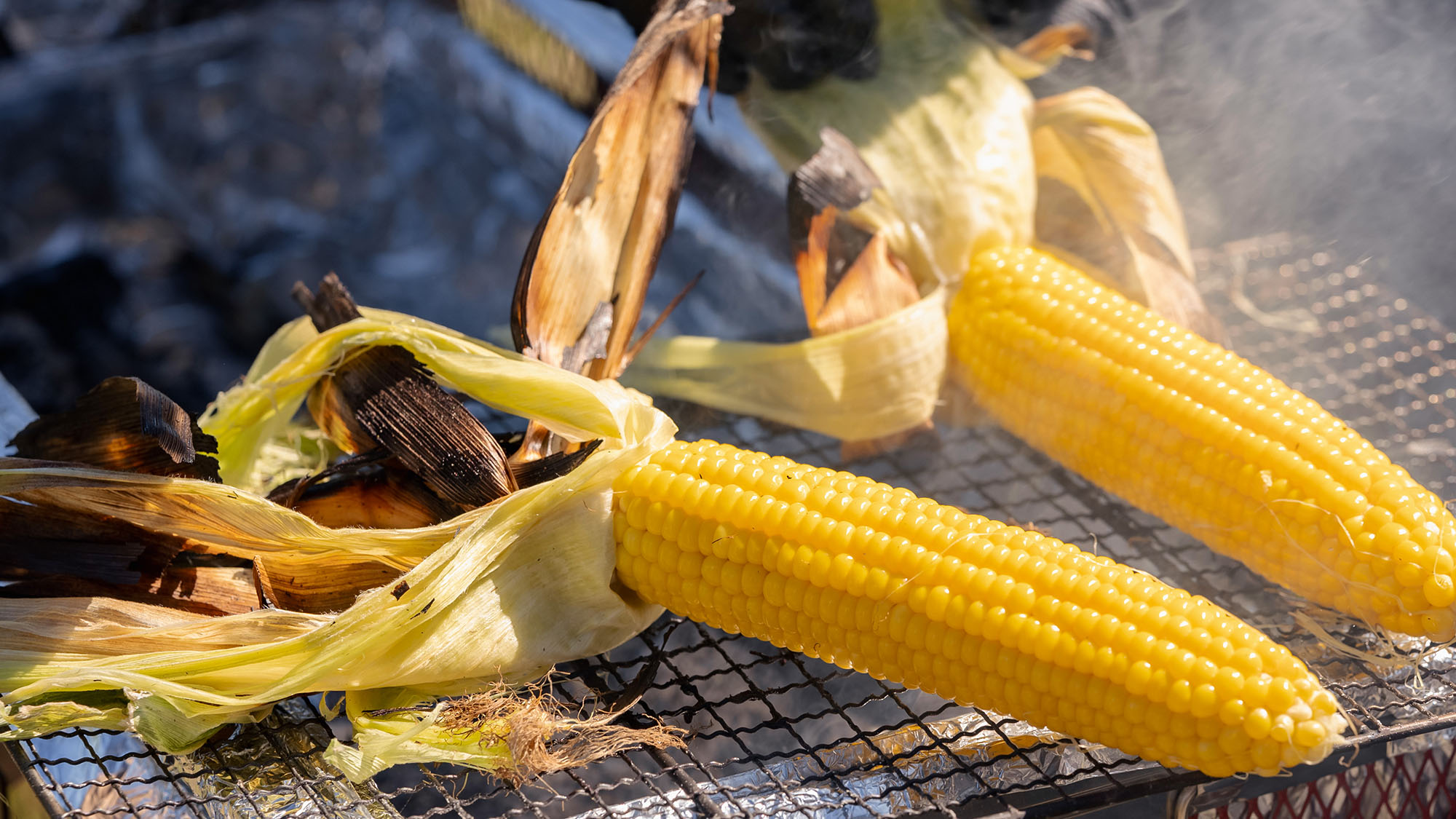 ・【BBQ一例】北海道といえばトウモロコシ。甘さがぎゅっと詰まっています(有料・要予約)