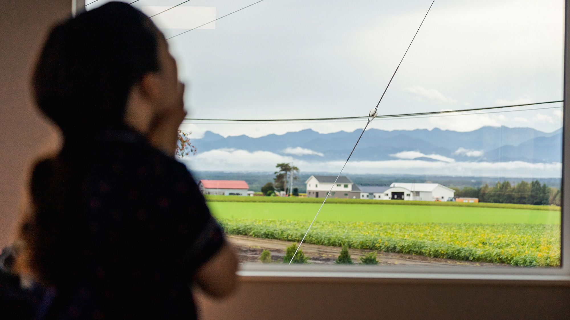 ・【リビング】まるで風景画のようなピクチャーウインドウ