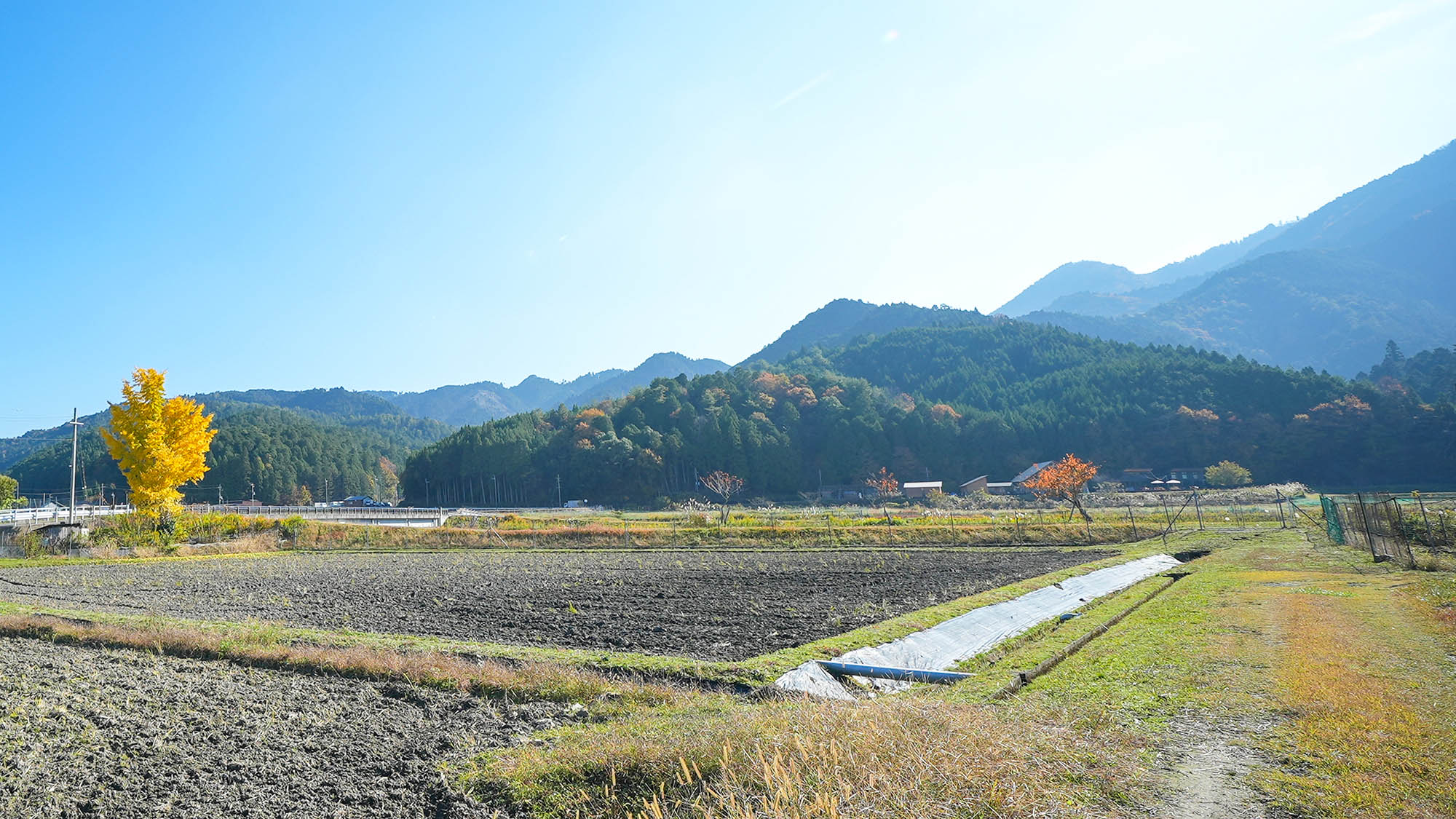 ・【周辺／秋】のどかな田舎道から望む、紅葉と遠くの山の秋景色