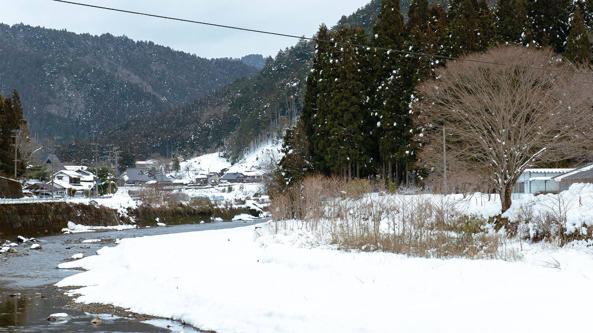 ・【周辺／冬】細かい粉雪が木々に降り積もり、幻想的な冬の風景を創り出します
