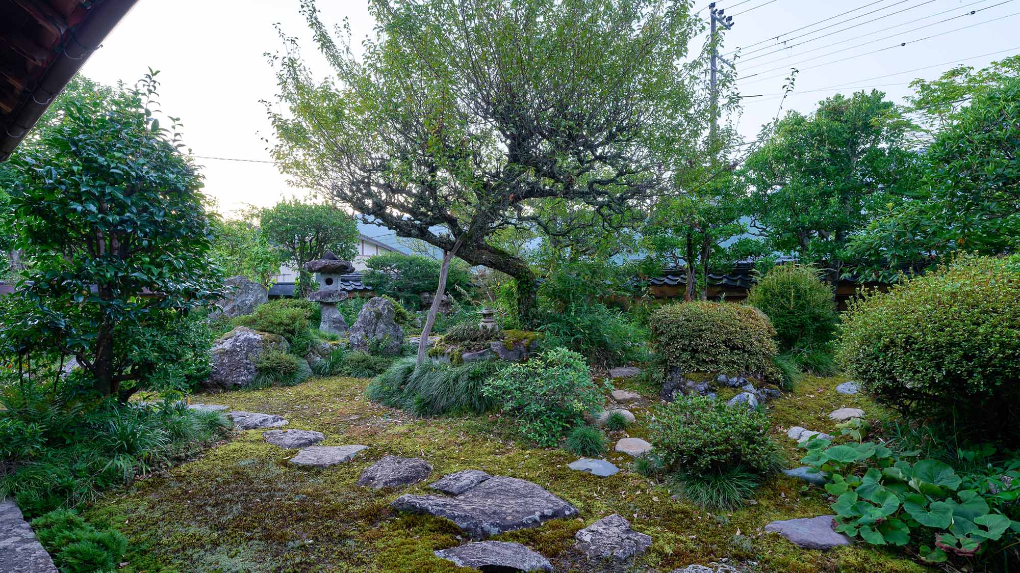 ・【庭園】洗練された京の庭。灯籠の灯りが誘う、静寂のひととき