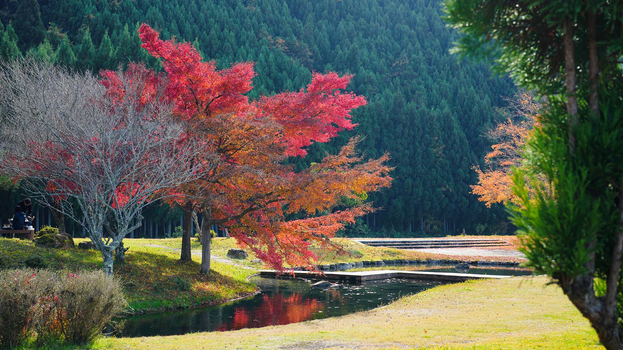 ・【周辺／秋】赤や黄色の葉が水面に映り、その景色も楽しめます