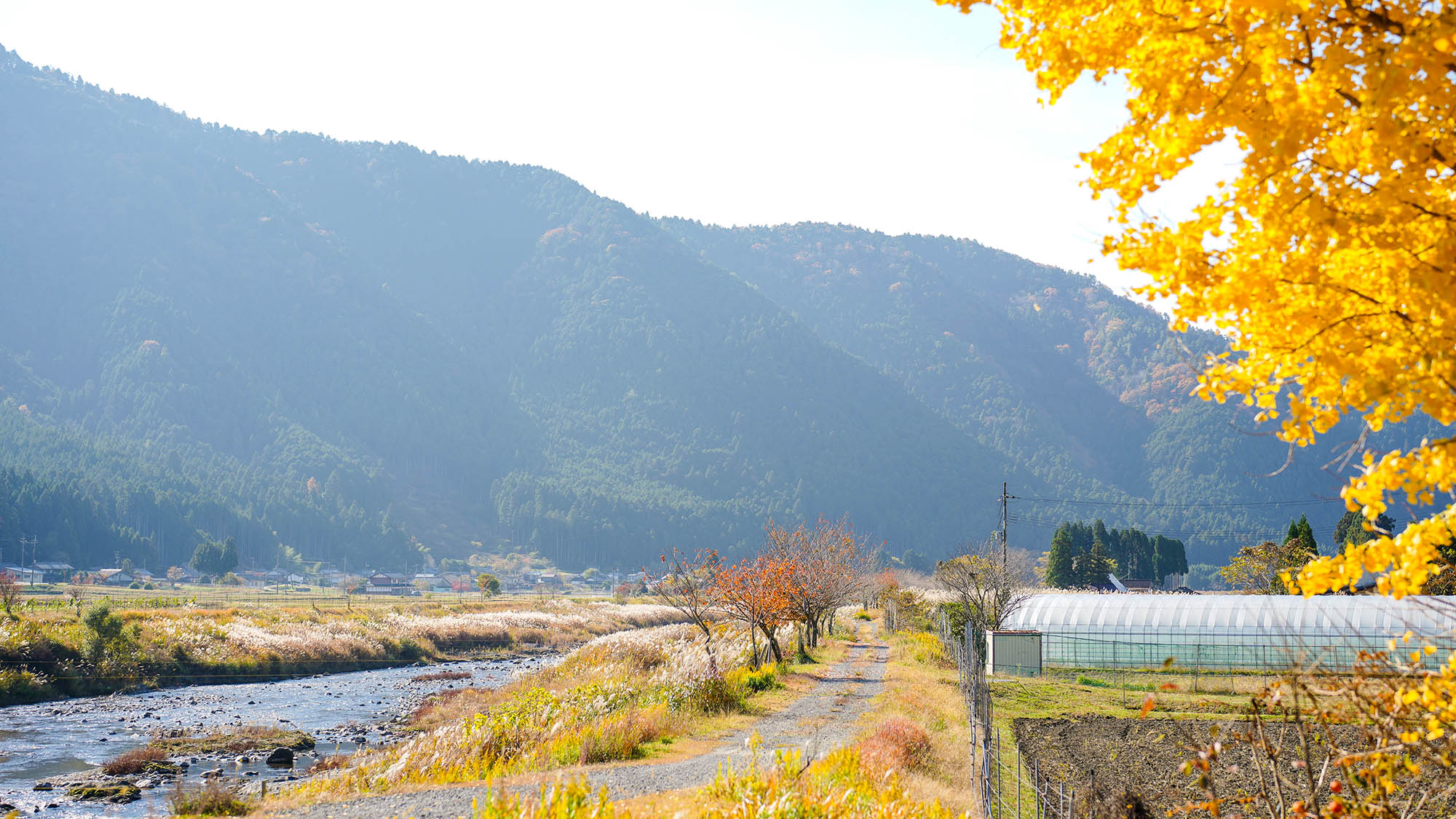 ・【周辺／秋】河川敷で秋の景色を眺めながら、ゆっくりと散歩もおすすめです