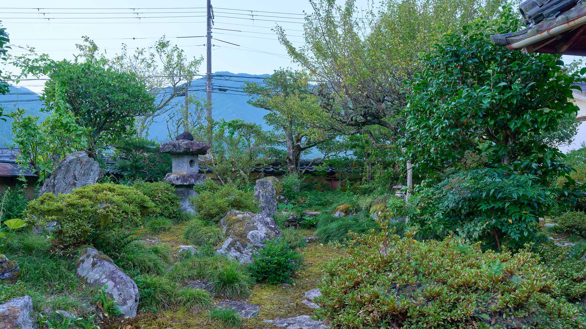 ・【庭園】四季折々の表情。手入れの行き届いた京の庭園で癒しを