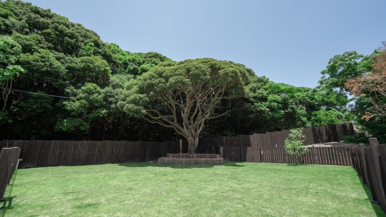 【愛犬と泊まれる素泊りプラン】1組限定のプライベートヴィラで粋なひとときを