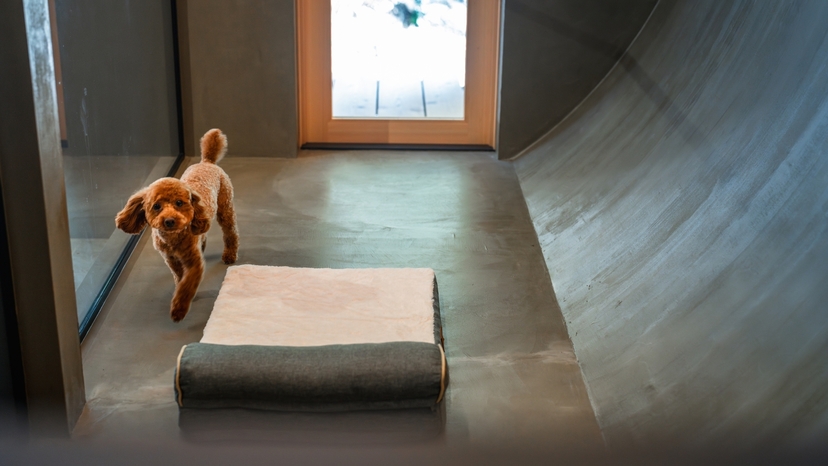 【期間限定最大40％OFF】愛犬と泊まれる素泊りプラン　1組限定のプライベートヴィラ