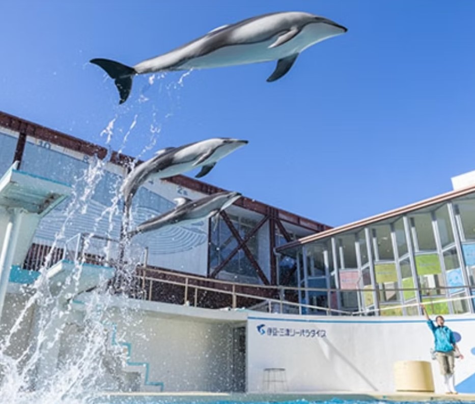 ・【伊豆観光】自然の入江を利用した水族館「伊豆三津シーパラダイス」車で約10分