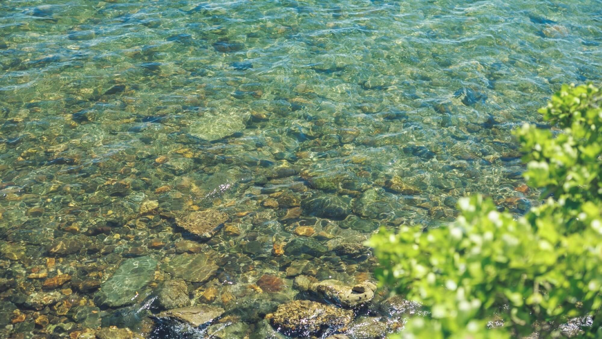 ◆＜全棟貸切／最大26名＞通常より15％OFF★プール付スイート全５部屋をまるごと貸切！【素泊まり】