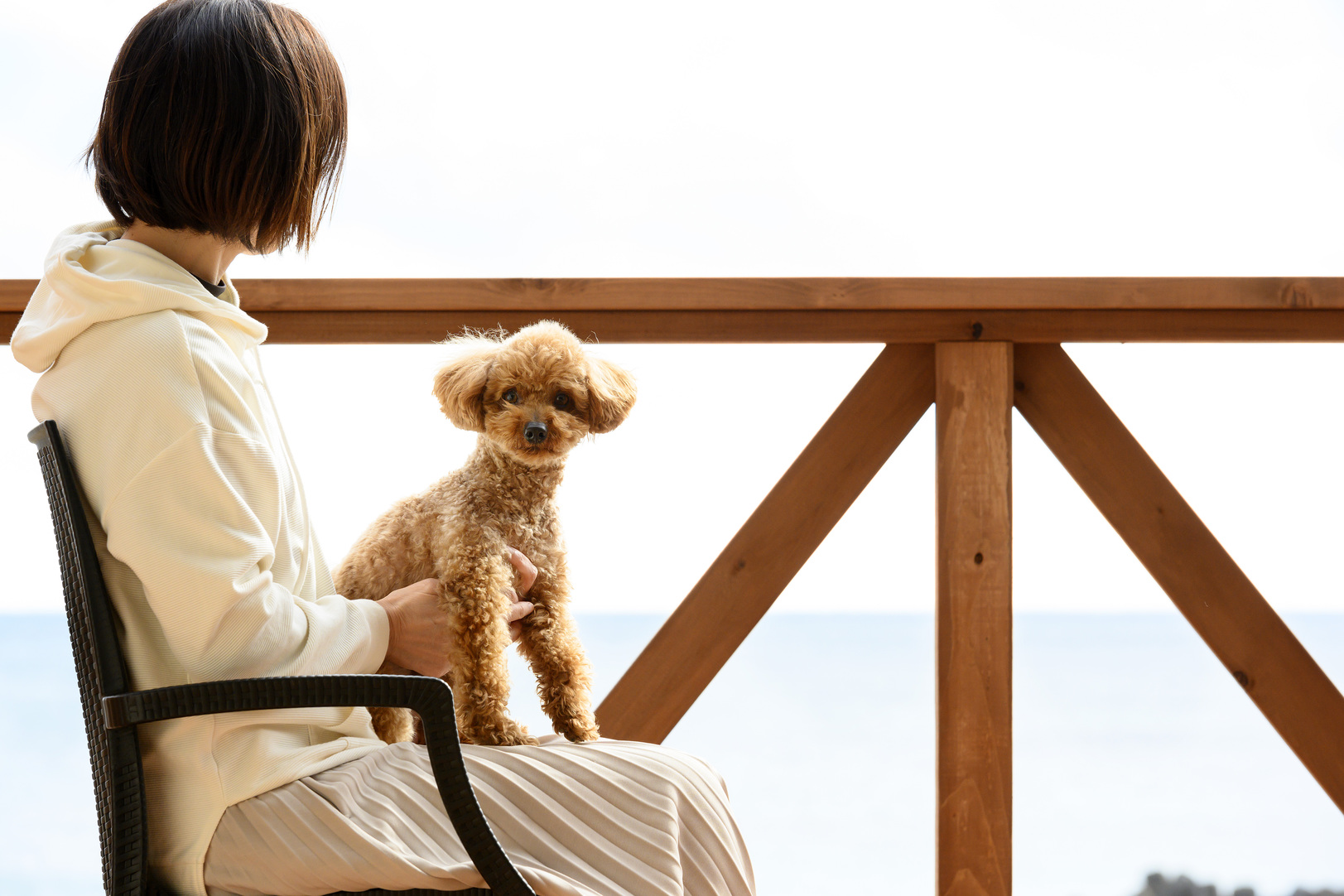 愛犬と一緒に快適リゾート旅行《割引価格》☆絶景レストランでＢＢＱ♪♪伊勢海老＆鮑＆和牛＆焼き貝！