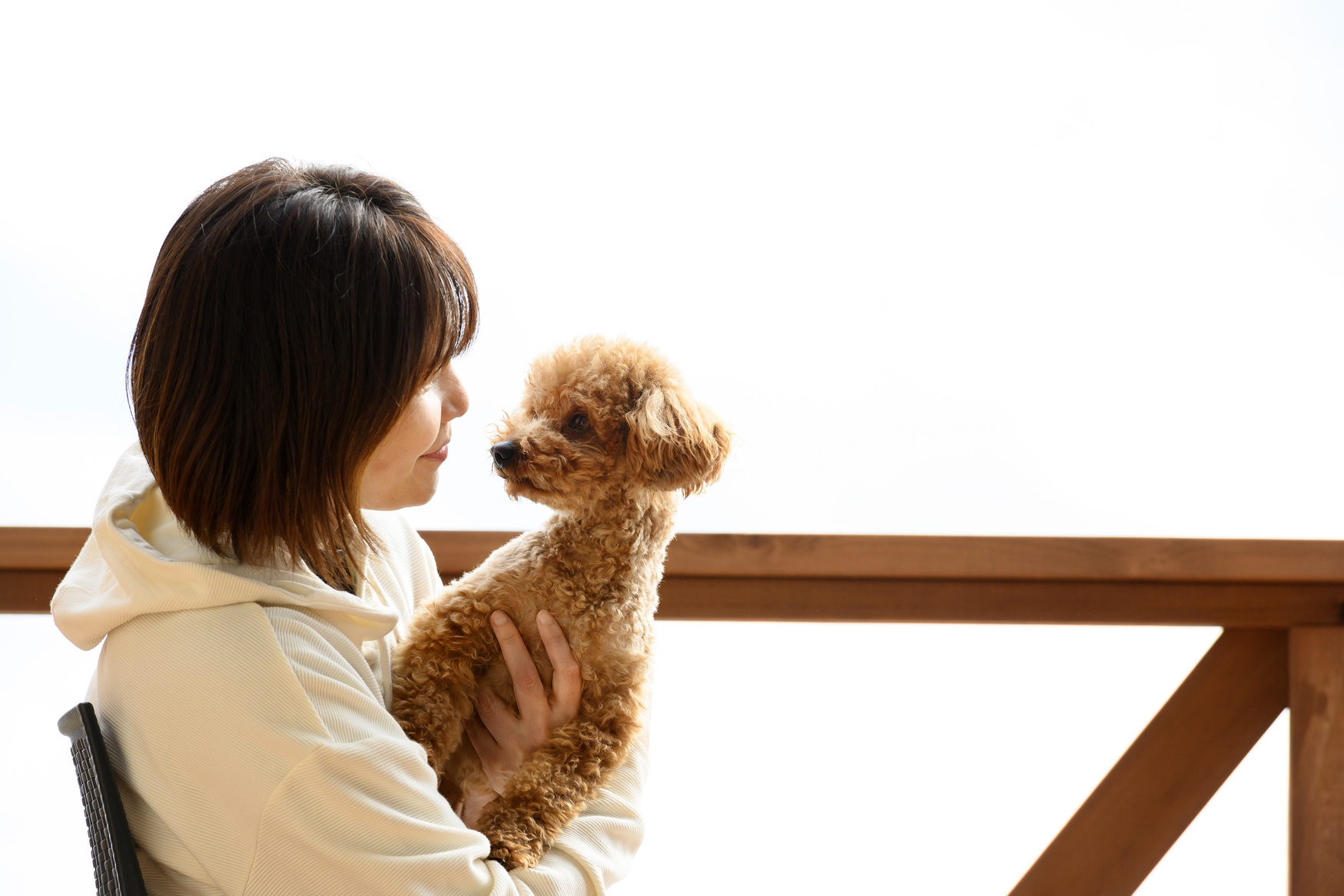 愛犬と一緒にお部屋食プラン♪海岸でお散歩＆ドッグラン♪絶景のテラスで夕陽を見ながら過ごす伊勢志摩の旅