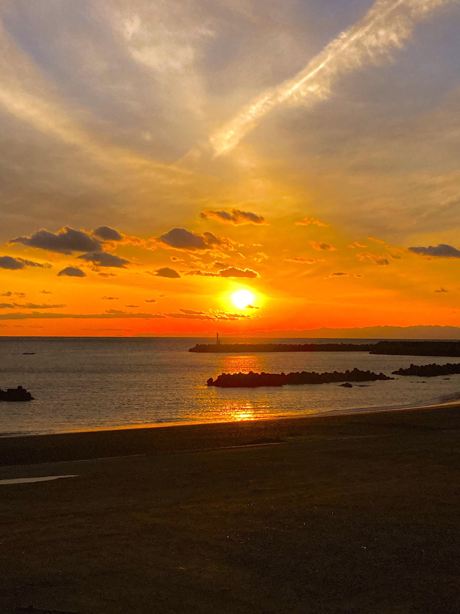 【楽天スーパーSALE】愛犬と一緒にリゾート旅行☆絶景レストランでＢＢＱ☆伊勢海老＆鮑＆和牛＆焼き貝