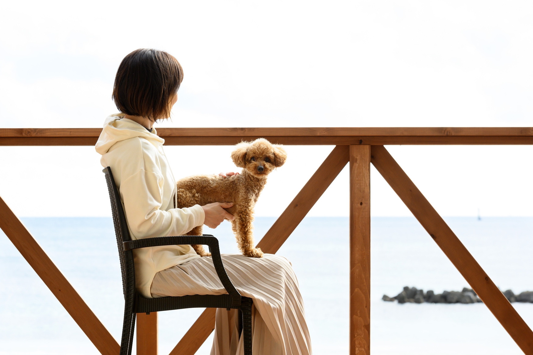 【ルームオンリー】夕陽を見ながら愛犬と過ごす♪　志摩の地元グルメを満喫♪　愛犬と一緒に伊勢神宮へ参拝