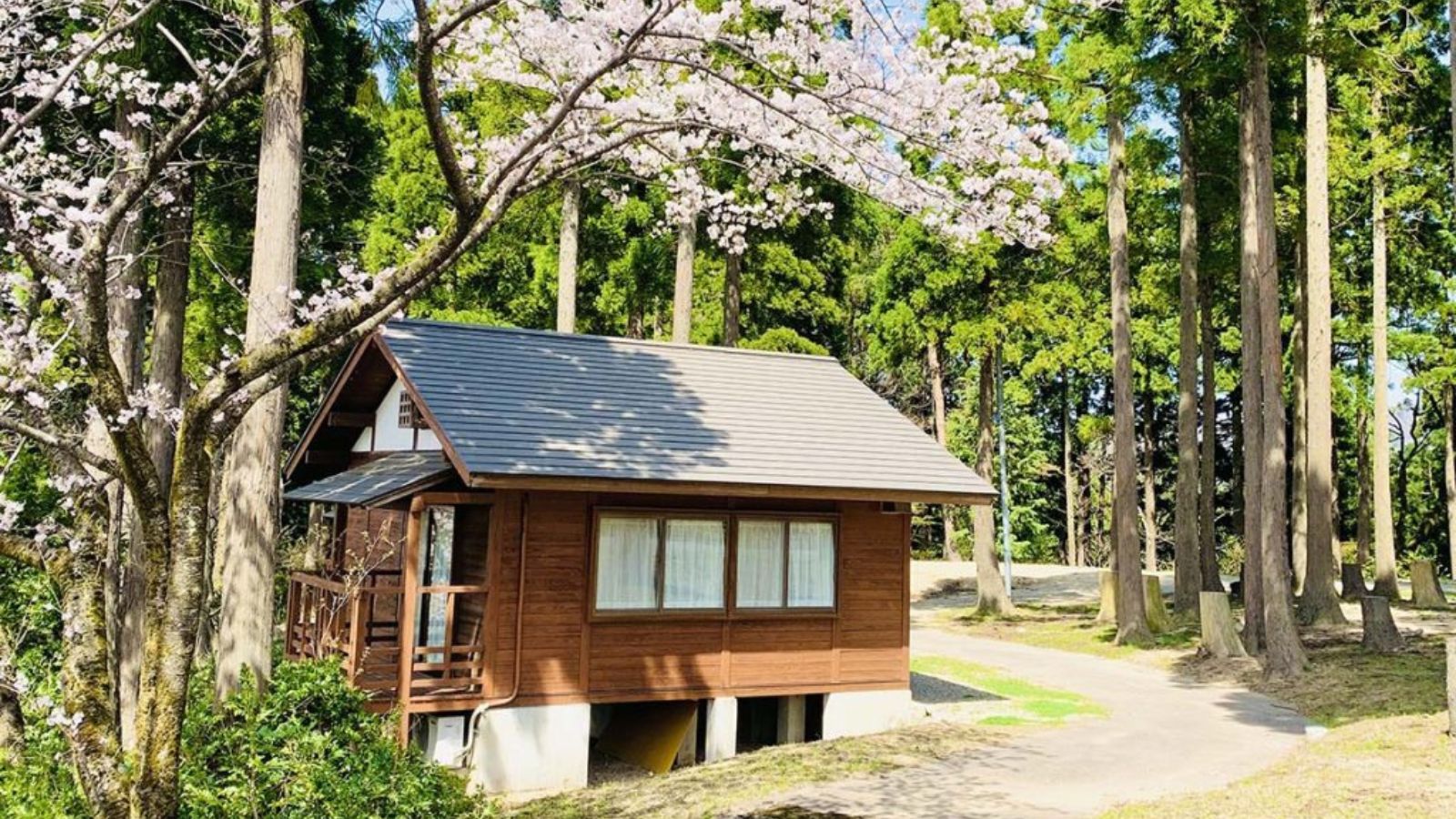 かたかご（3人棟）の外観（春）