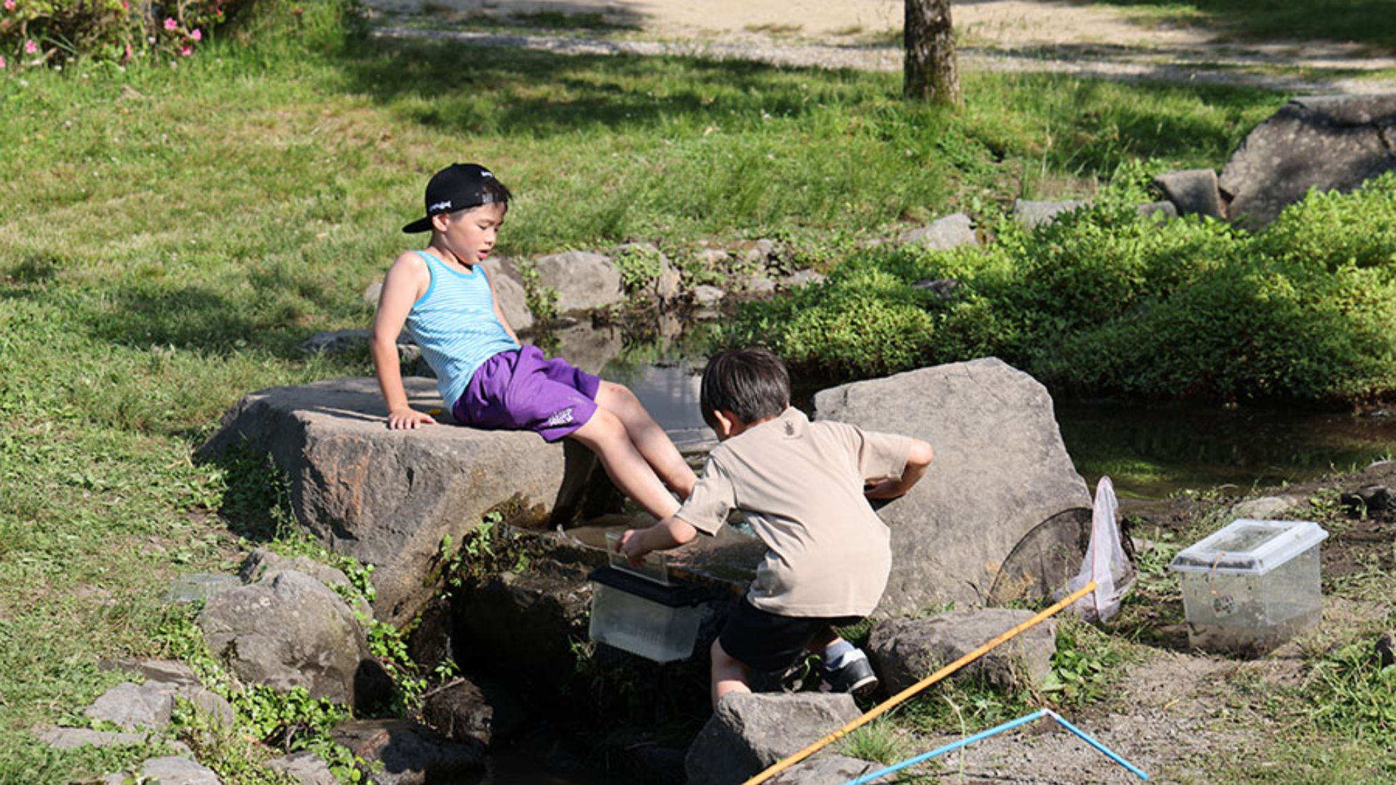 小川の魚や虫にも出会える