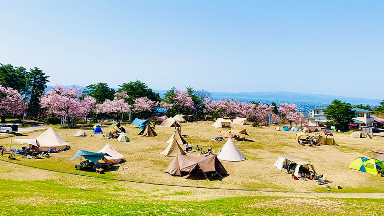 芝生広場（春）