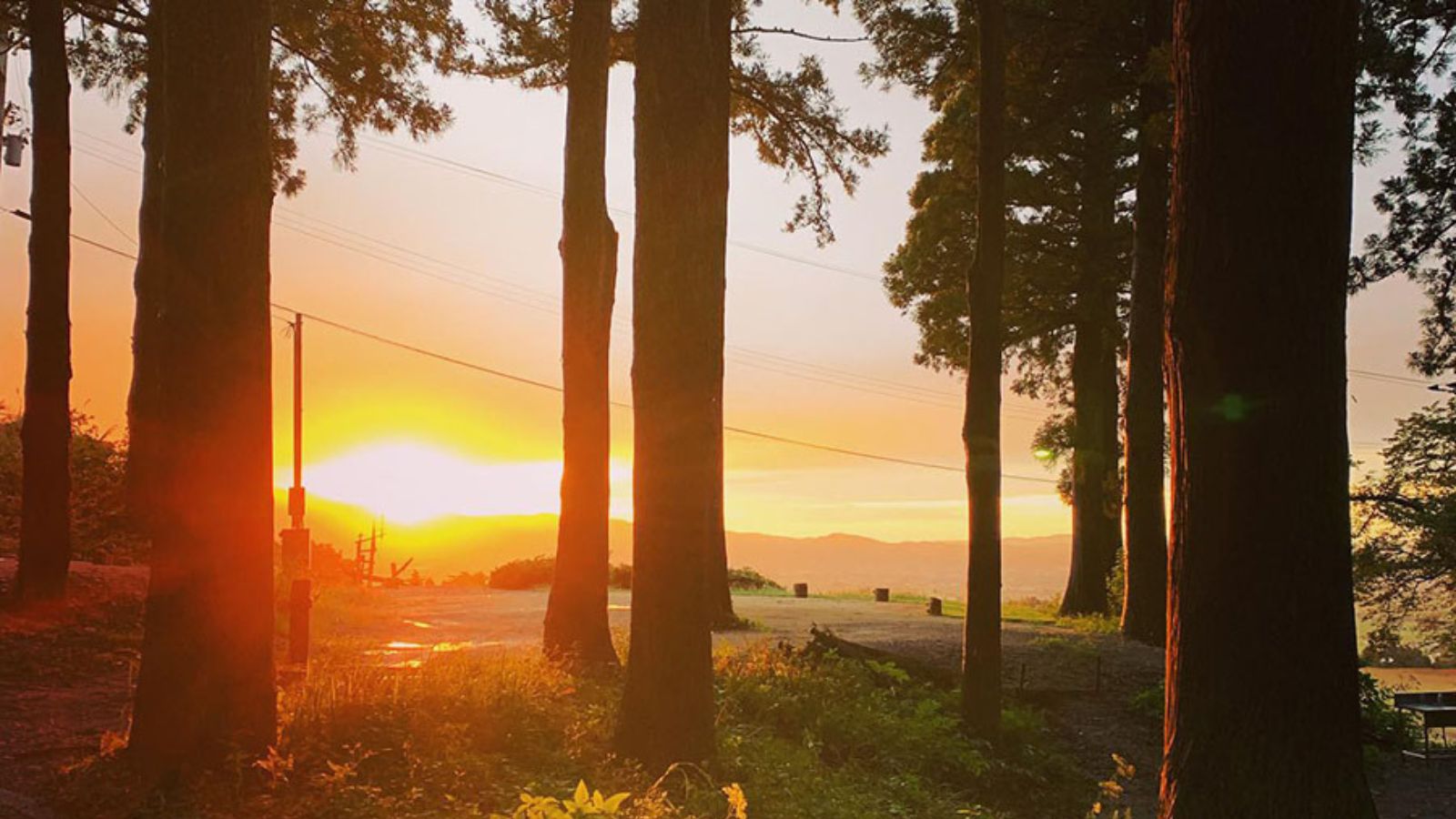 大自然の中で眺める素敵な夕暮れ