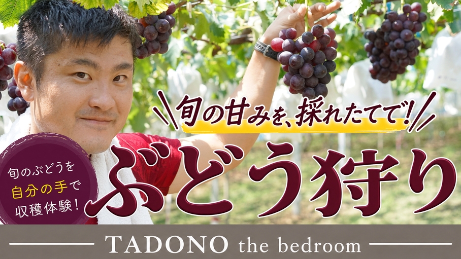 【季節限定】有田巨峰村「三木と園」でぶどう狩り♪旬を楽しむ秋旅満喫プラン＜素泊まり＞
