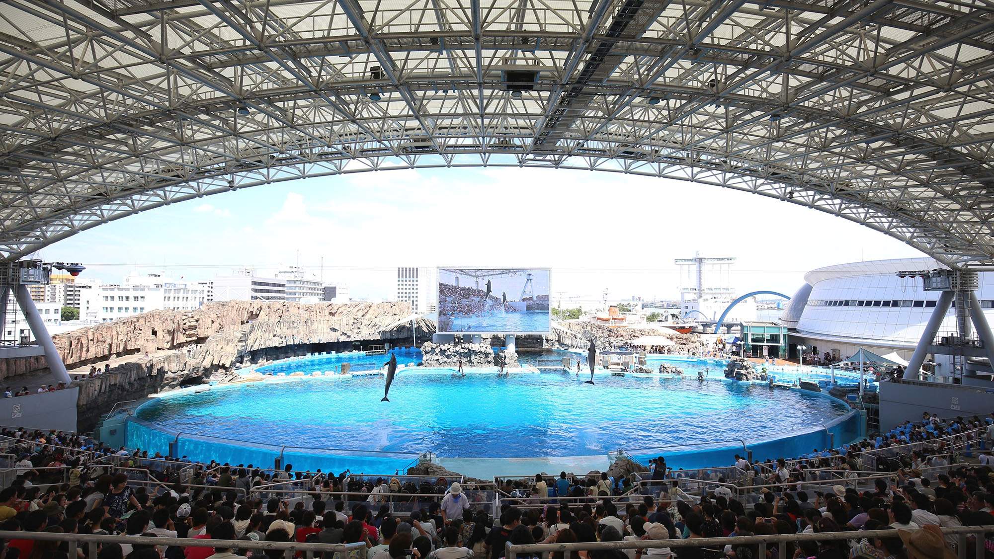 名古屋港水族館