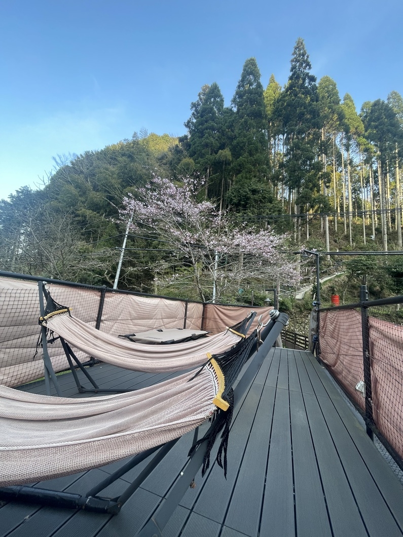 6月は蛍鑑賞『星空の下で豪華BBQだワン』名物アマゴ含む豪華BBQプラン【サウナ】【川遊び・山散歩】