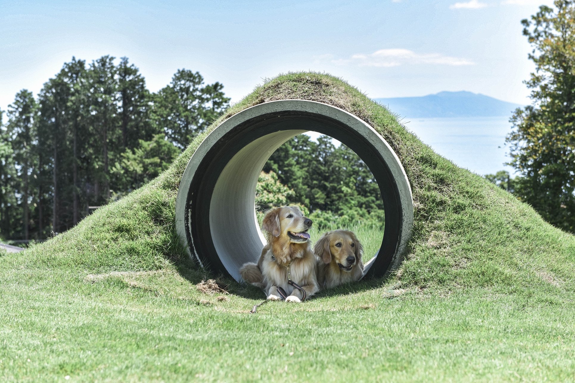 プラン 詳細はこちらをお読みください 6頭まで 愛犬と過ごす最高の時間 温泉 プライベートドッグラン
