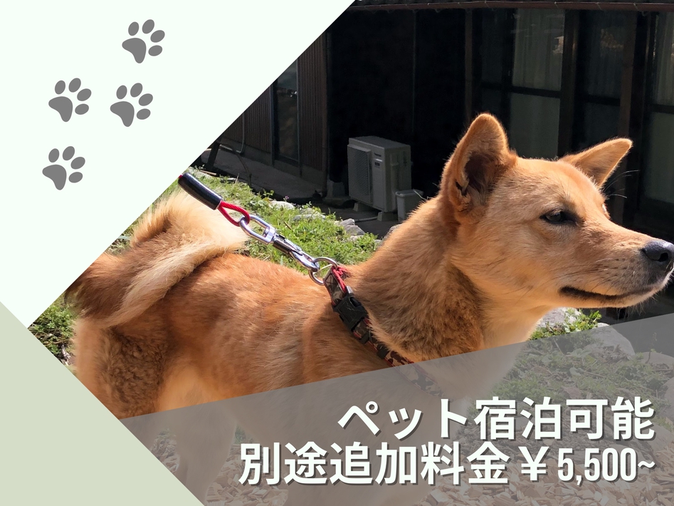 ペット