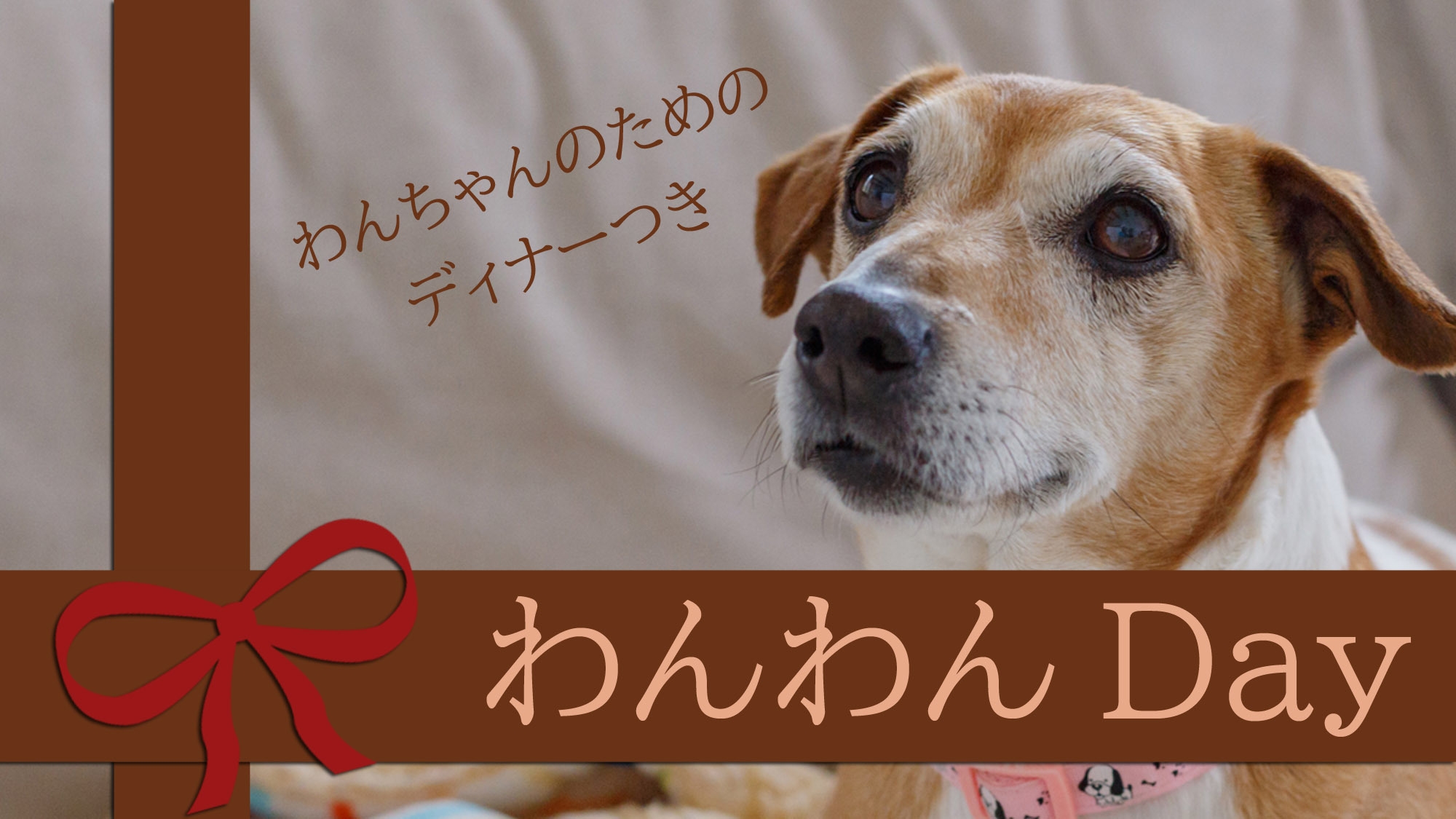 【毎月11日】ワンちゃんと一緒にオーベルジュを楽しむ、ワンワンデー！ワンちゃんの為の限定特典付♪