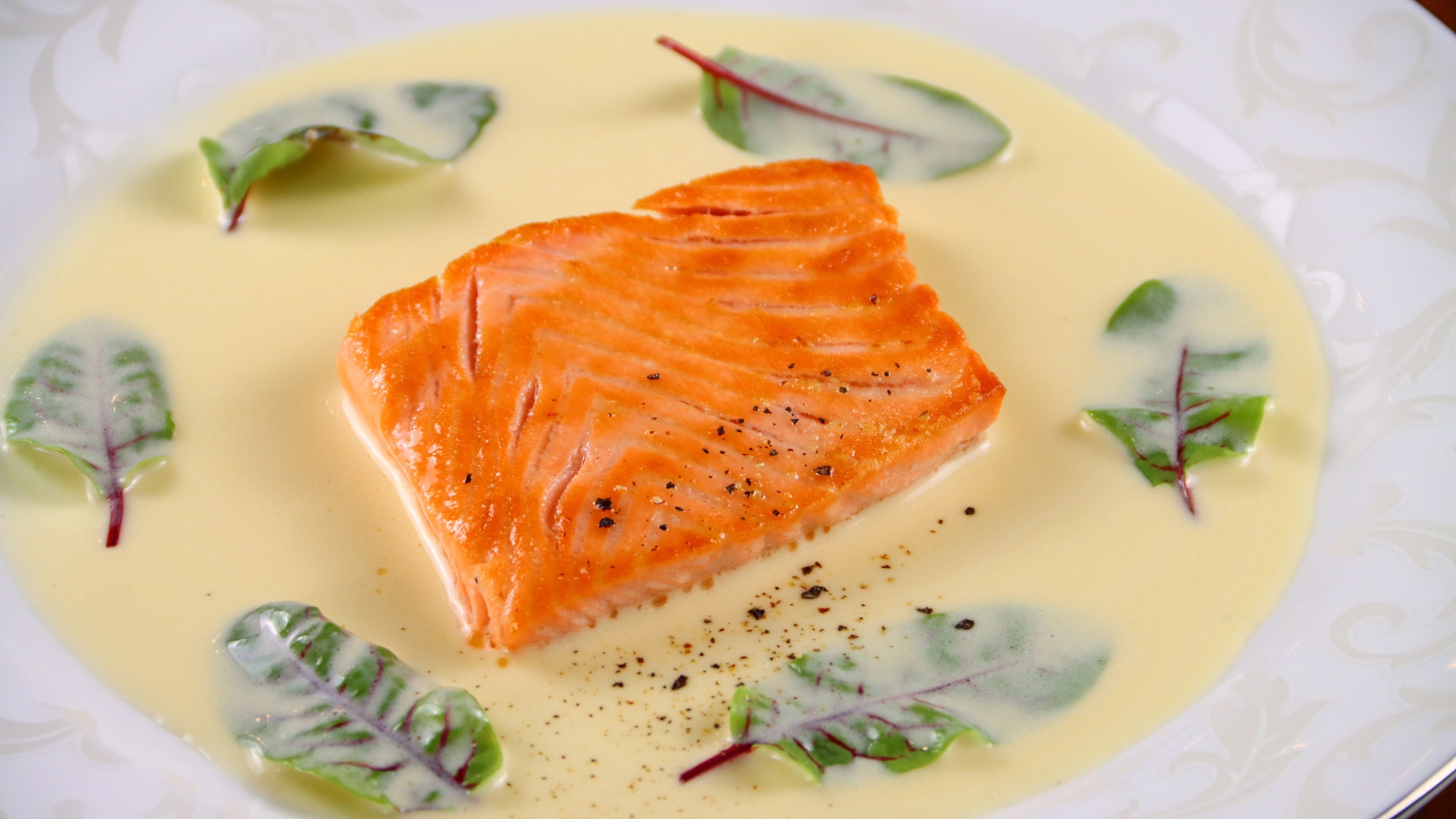 【毎月11日】ワンちゃんと一緒にオーベルジュを楽しむ、ワンワンデー！ワンちゃんの為の限定特典付♪