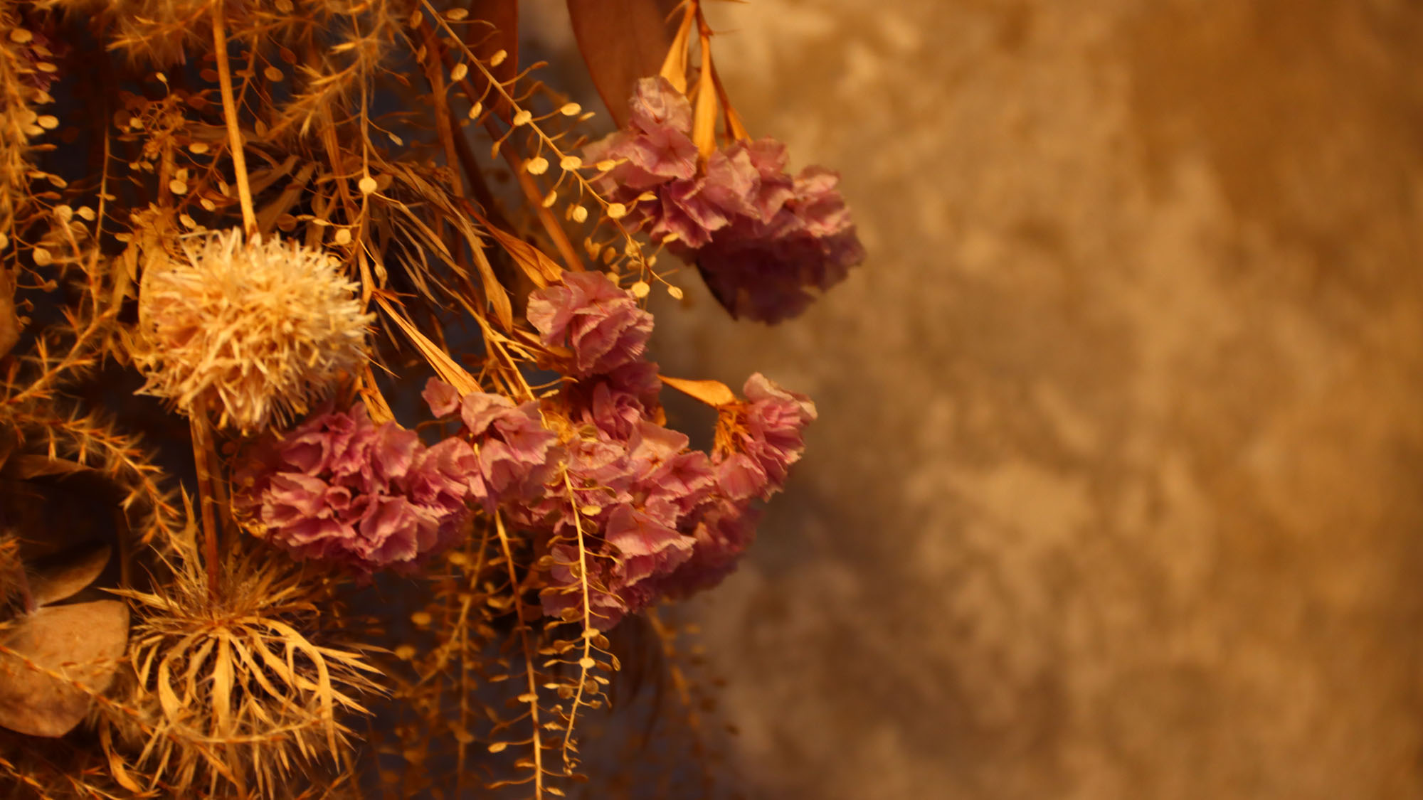 静けさに咲く、時を超えた彩り