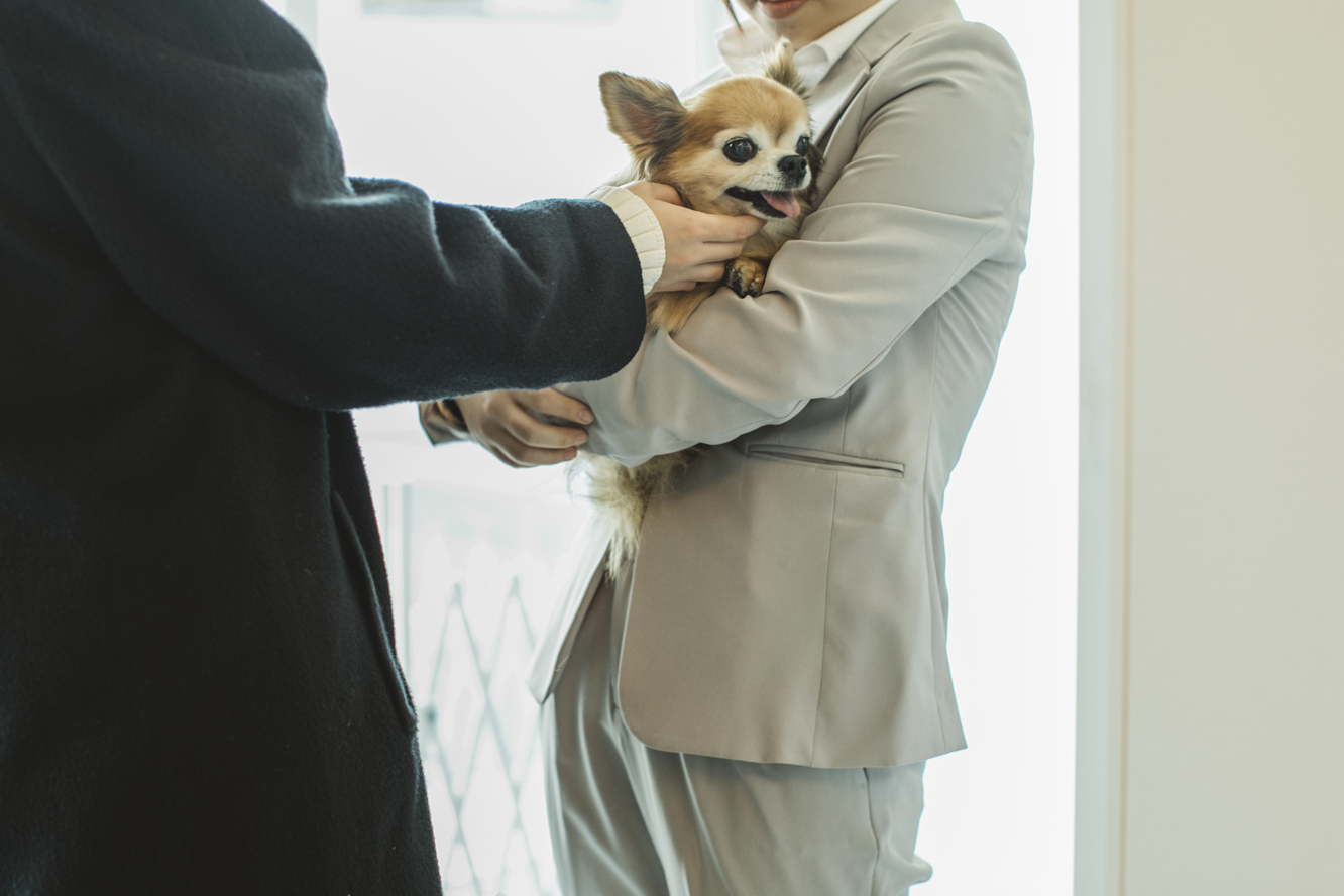 愛犬と客室でも旅先でもずっと一緒に過ごす心やすらぐ京都旅  / シンプルに楽しむ素泊まり