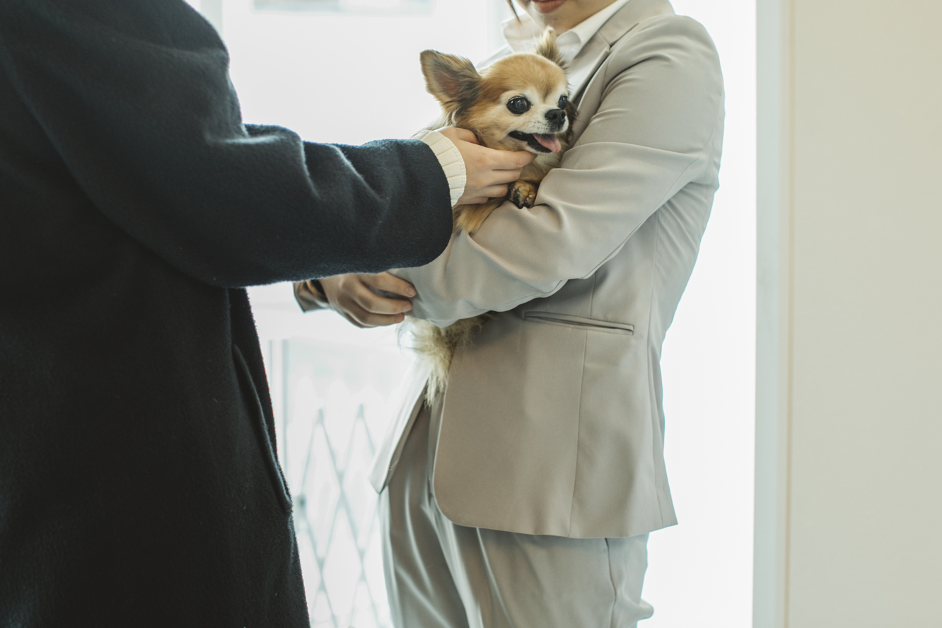 いつでも愛犬と京都旅を楽しめるお預かりサービス特典付きプラン/京都駅徒歩8分/ワンフロアに１室の空間