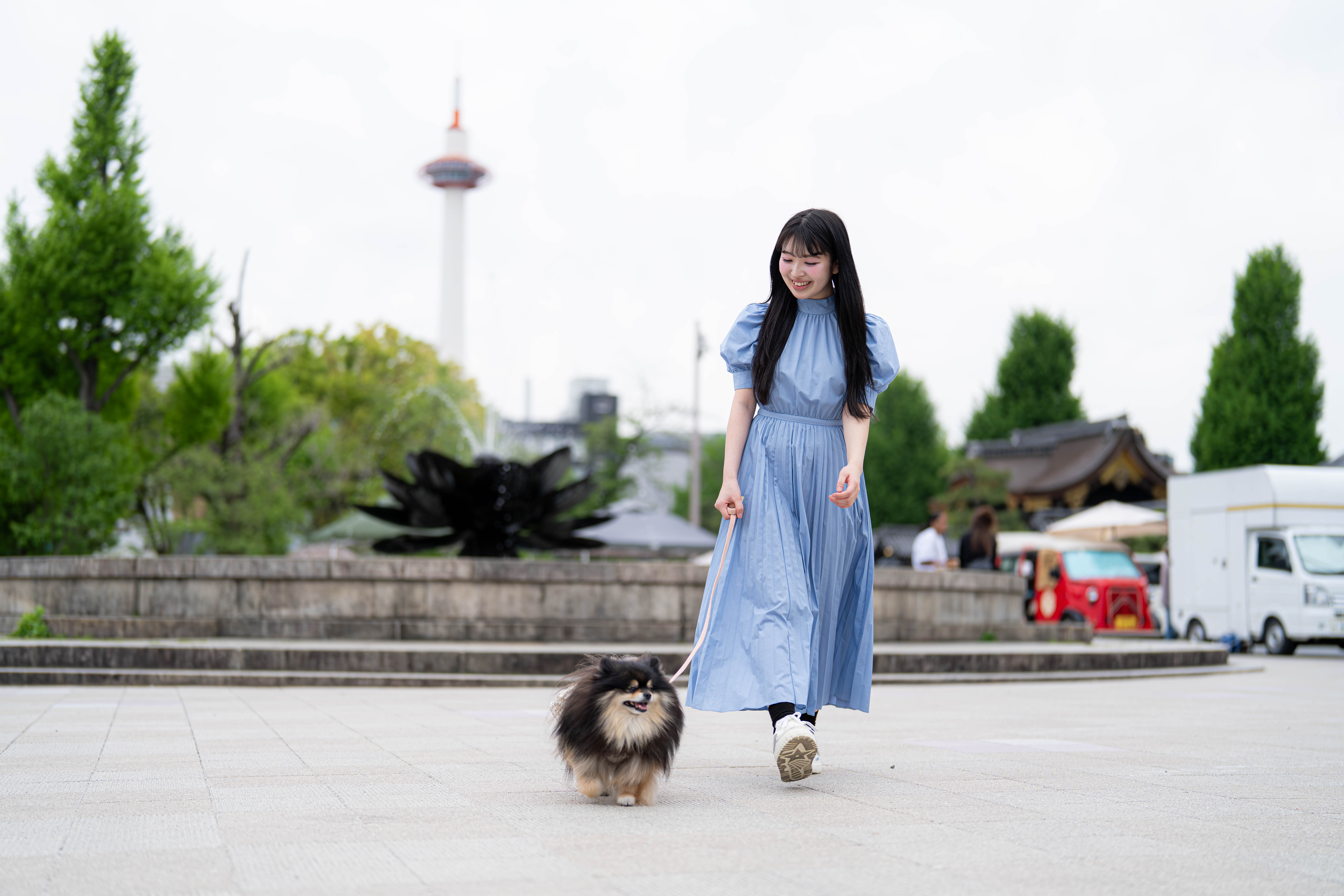 愛犬様とお散歩