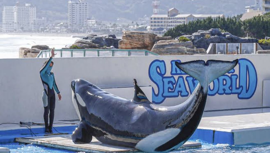 鴨川シーワールド