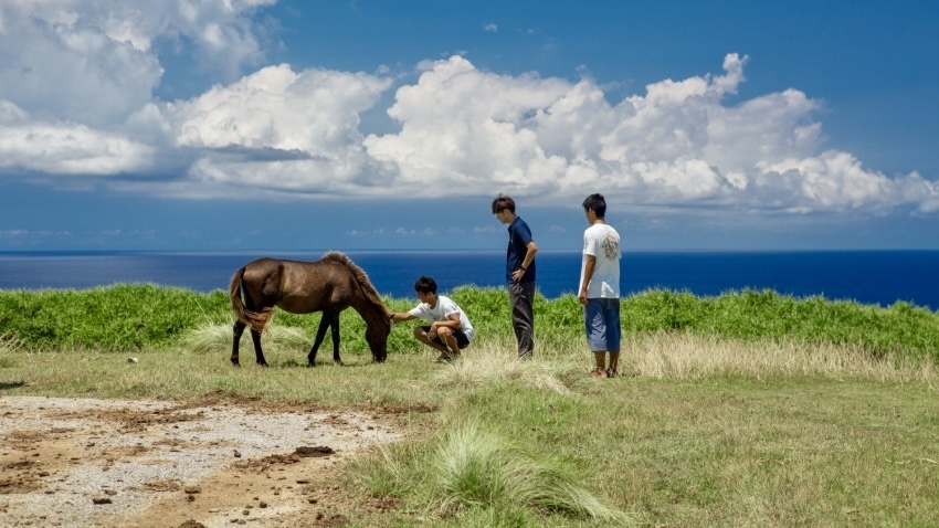 【ツアー付き】与那国島を知り尽くした島ガイドと巡る！島内一周の周遊観光付きプラン〈食事なし〉