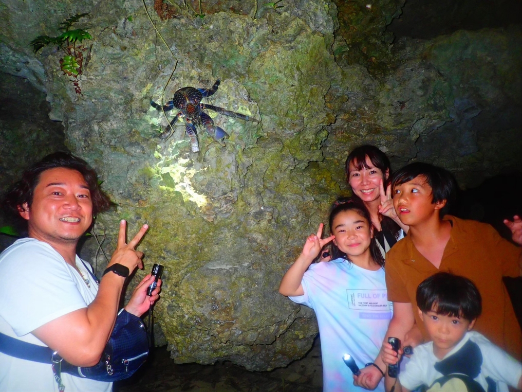 【ナイトツアー付き】与那国島の夜を満喫！ナイトツアー付き宿泊プランで亜熱帯の生き物や星空を楽しもう！