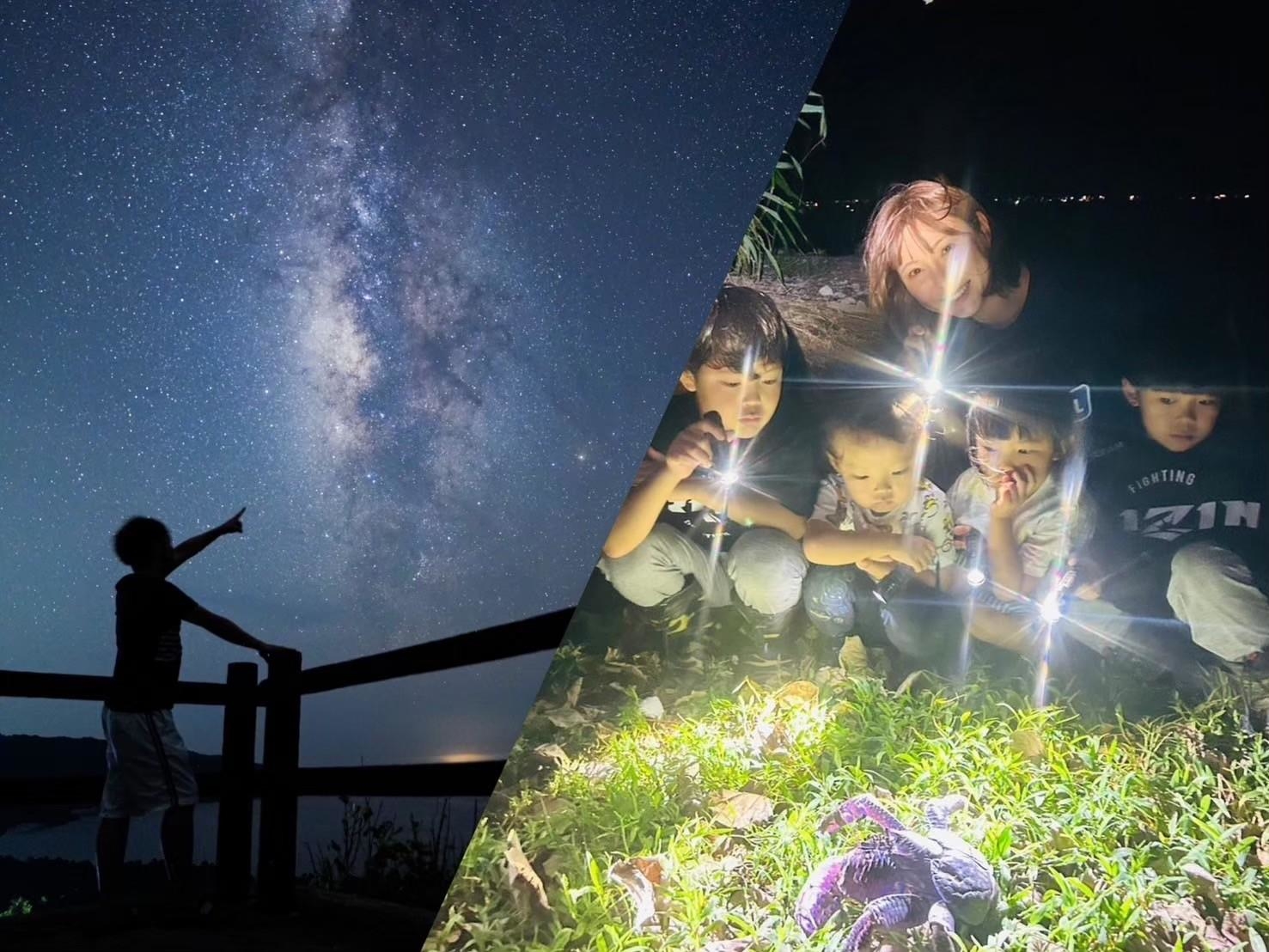 【ナイトツアー付き】与那国島の夜を満喫！ナイトツアー付き宿泊プランで亜熱帯の生き物や星空を楽しもう！