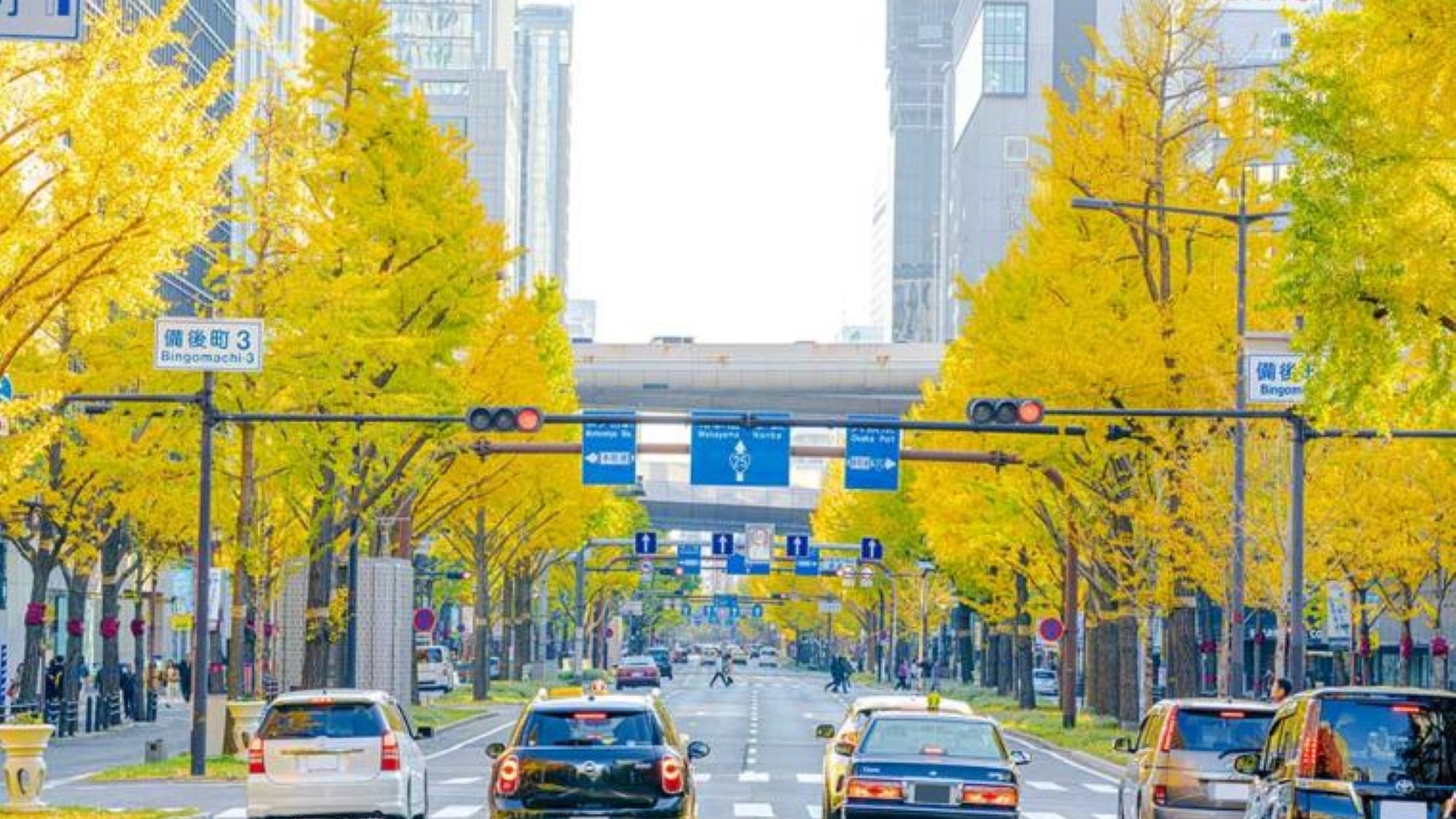 【御堂筋】沿道のイチョウ並木は秋には黄色に染まり、冬にはイルミネーションも実施されます。