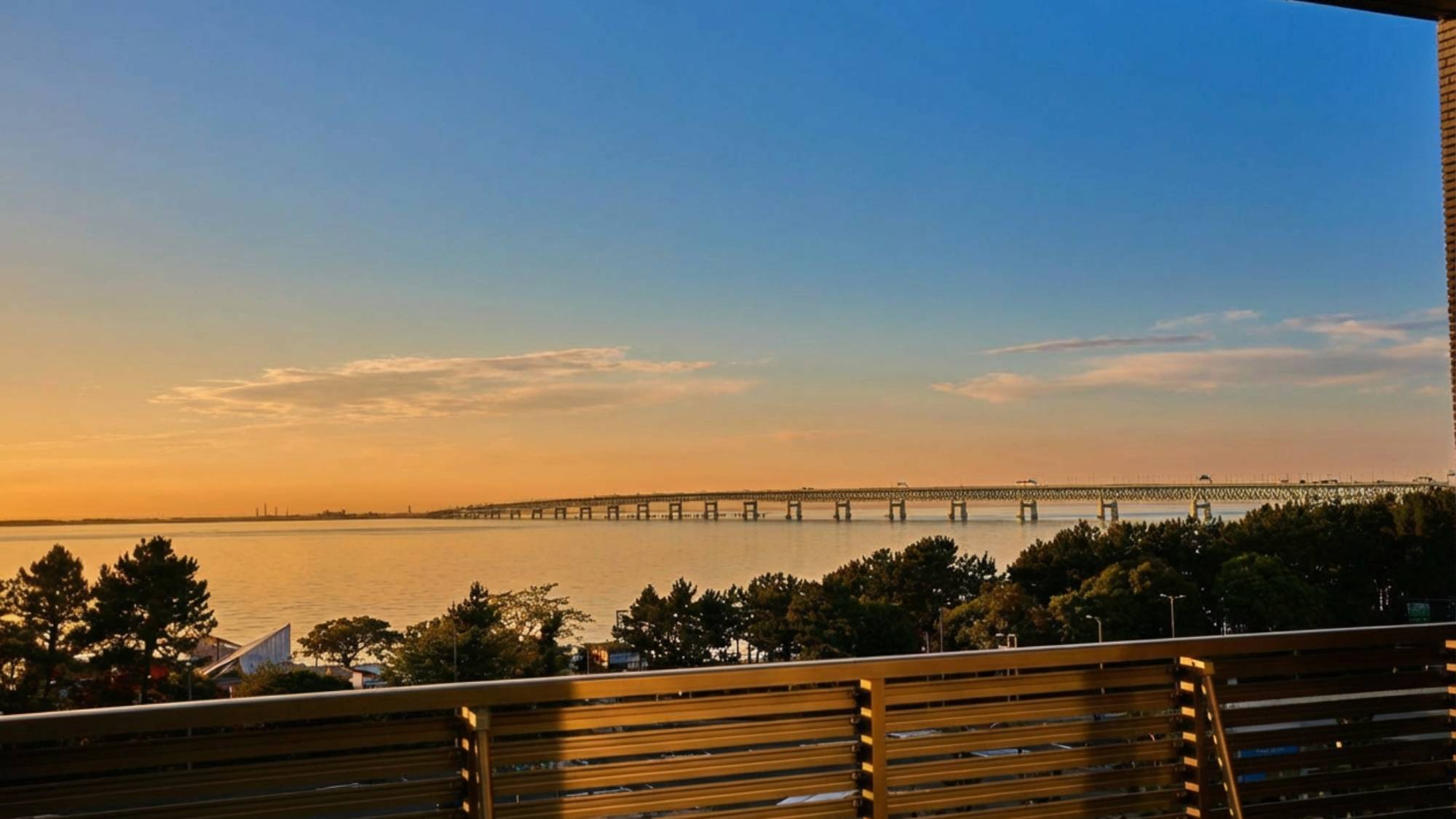 屋上からの景色