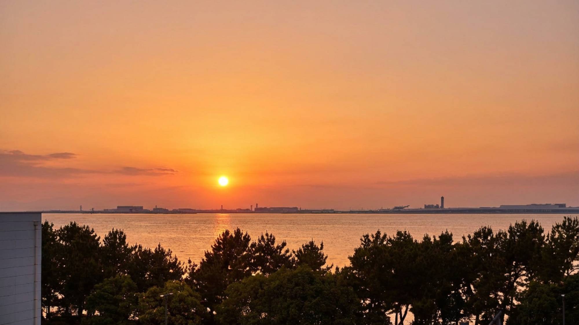 屋上からの景色